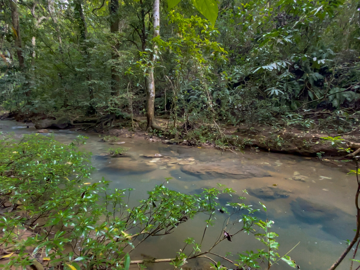 Las Delicias, Delicias, Puntarenas, CR, ,Land,For Sale,Las Delicias,1613556