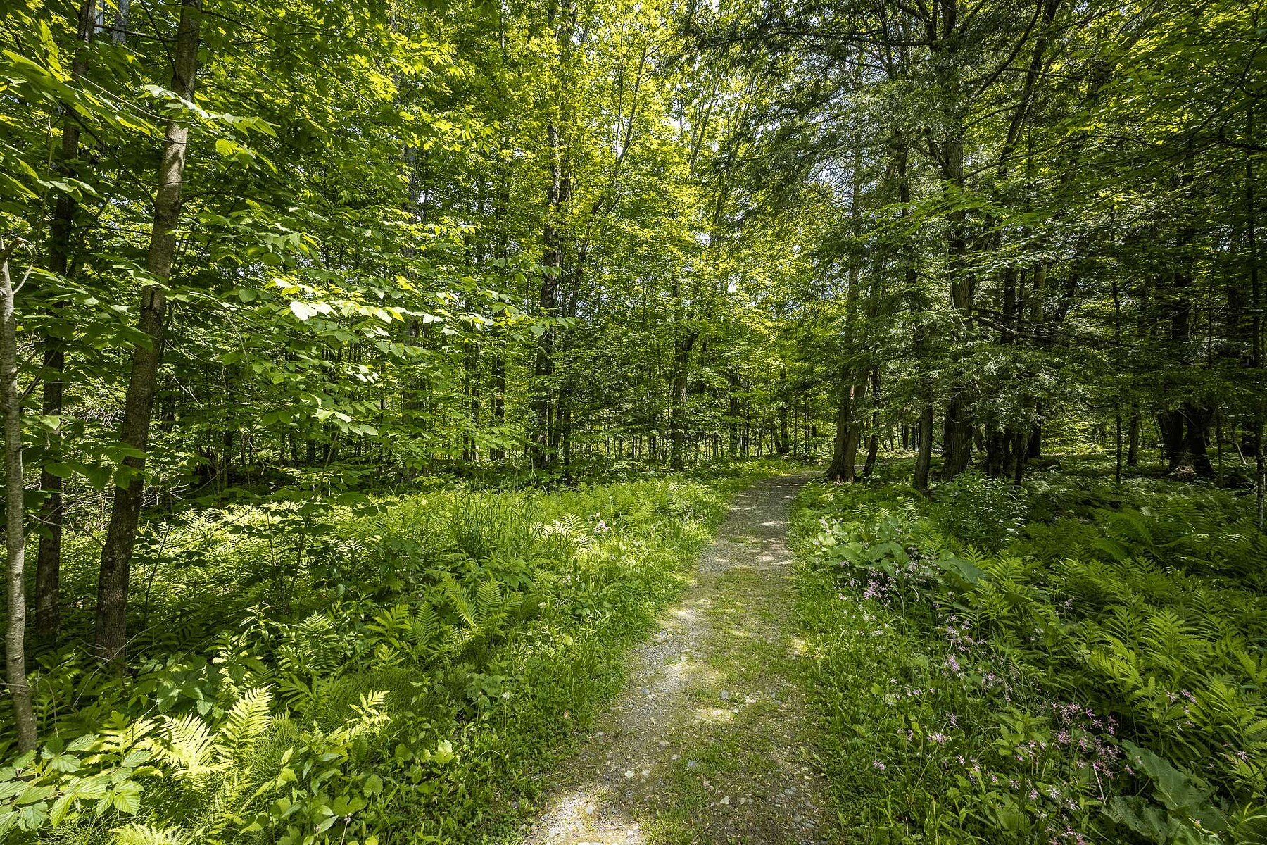  Bromont, Eastern Townships - 物件實景