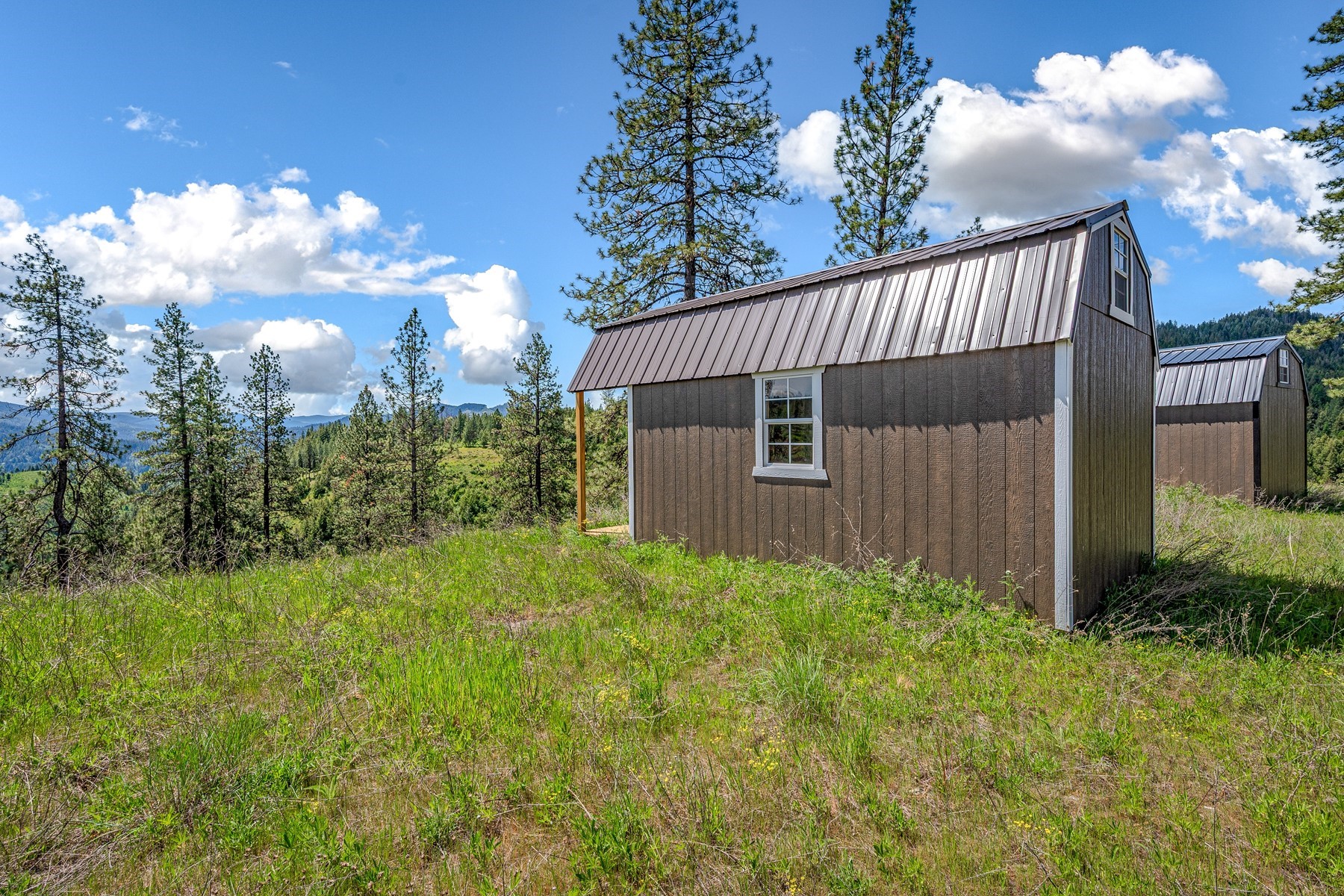  Cabins on 17ac. Surrounded by Lumber Land - 物件實景