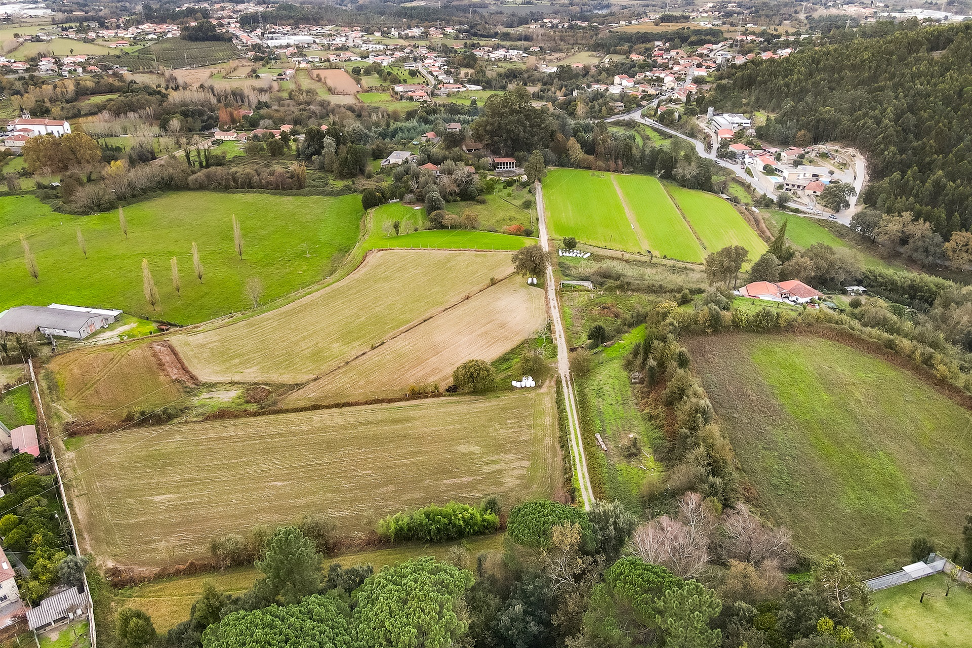  Farm, 6 bedrooms, for Sale - 物件實景