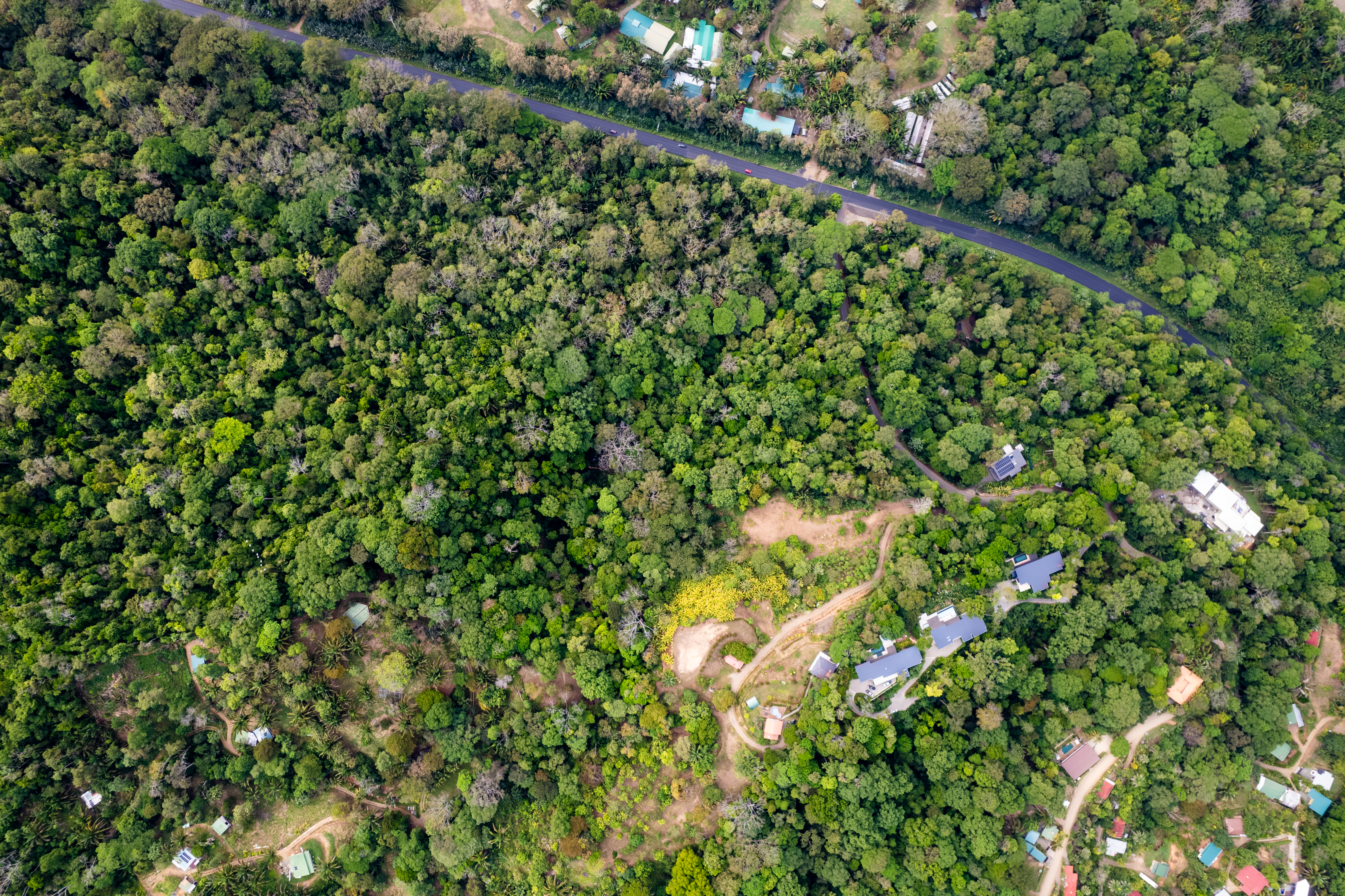 Uvita, Puntarenas, CR, ,Land,For Sale,1738605