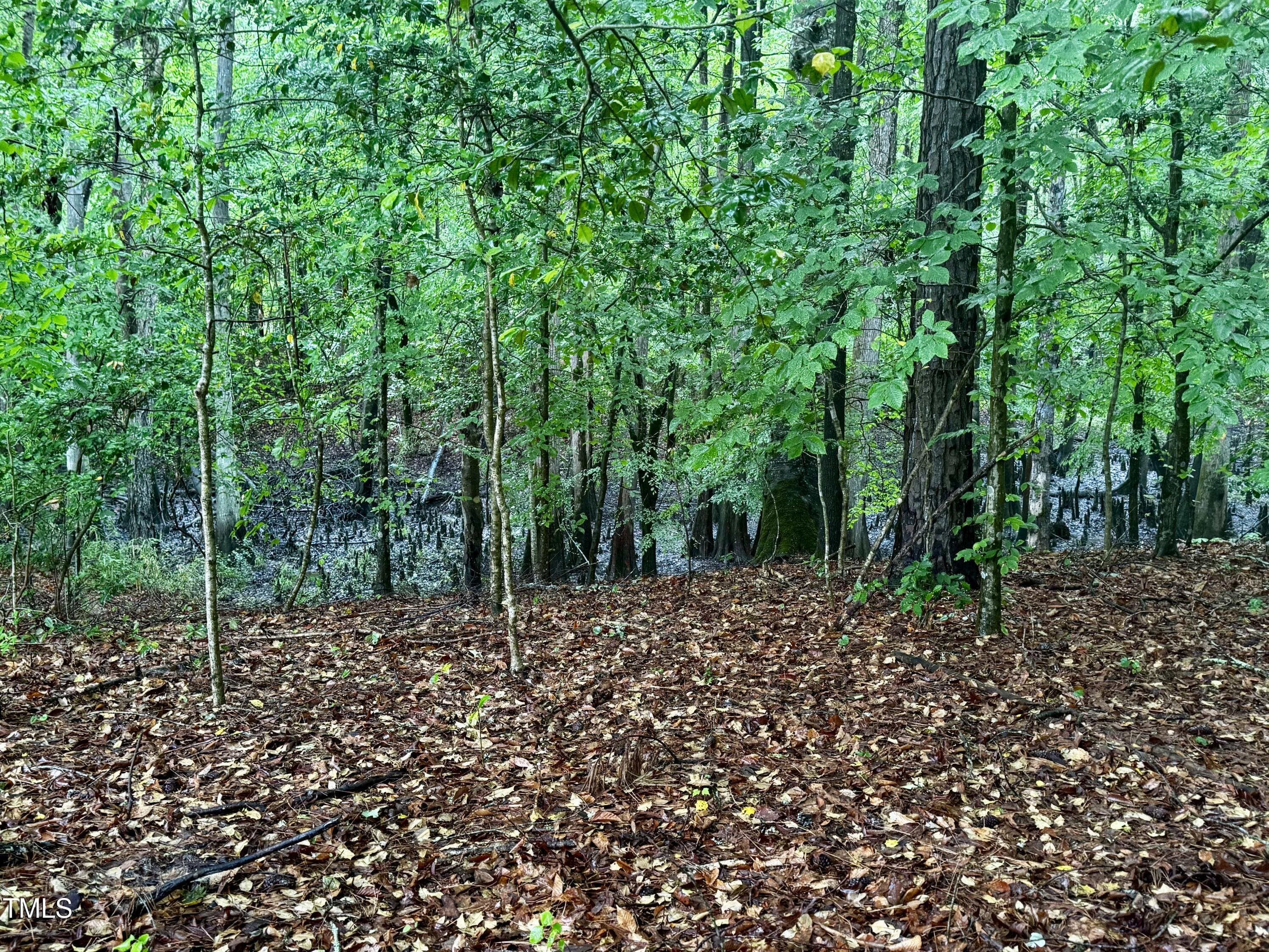 Murfreesboro, North Carolina, 27855, United States, ,Land,For Sale,1796477