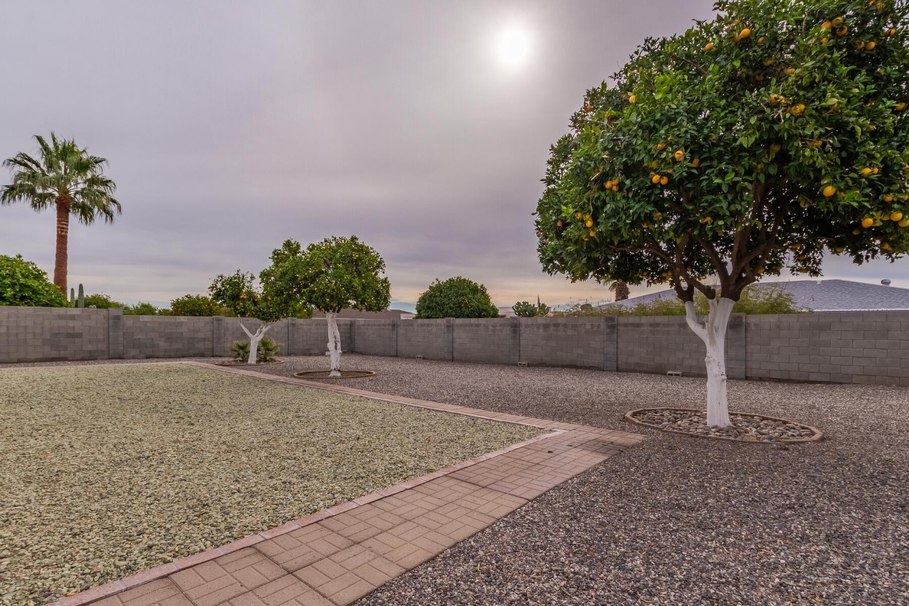  10441 W Burns Drive  Sun City, AZ - 物件實景