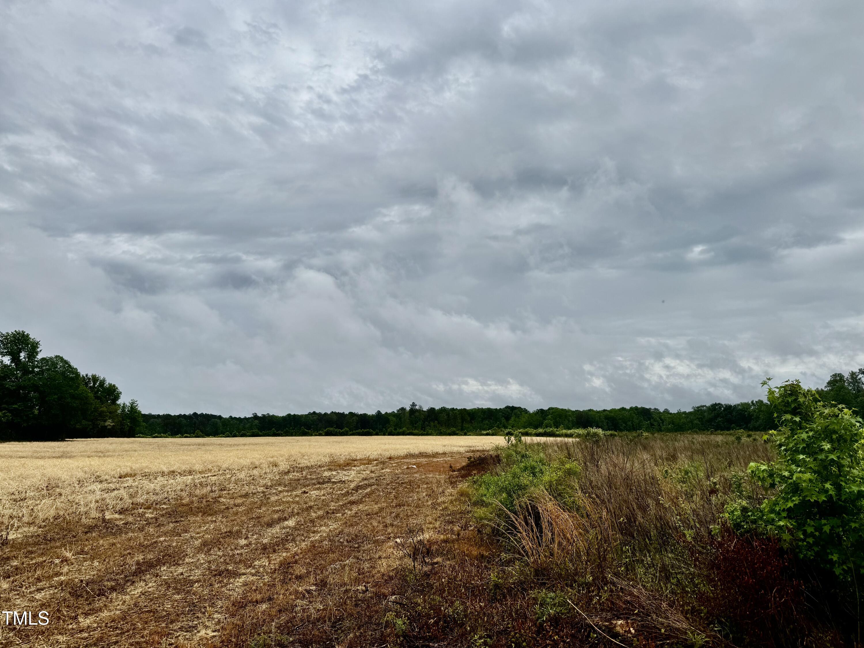 Murfreesboro, North Carolina, 27855, United States, ,Land,For Sale,1796477