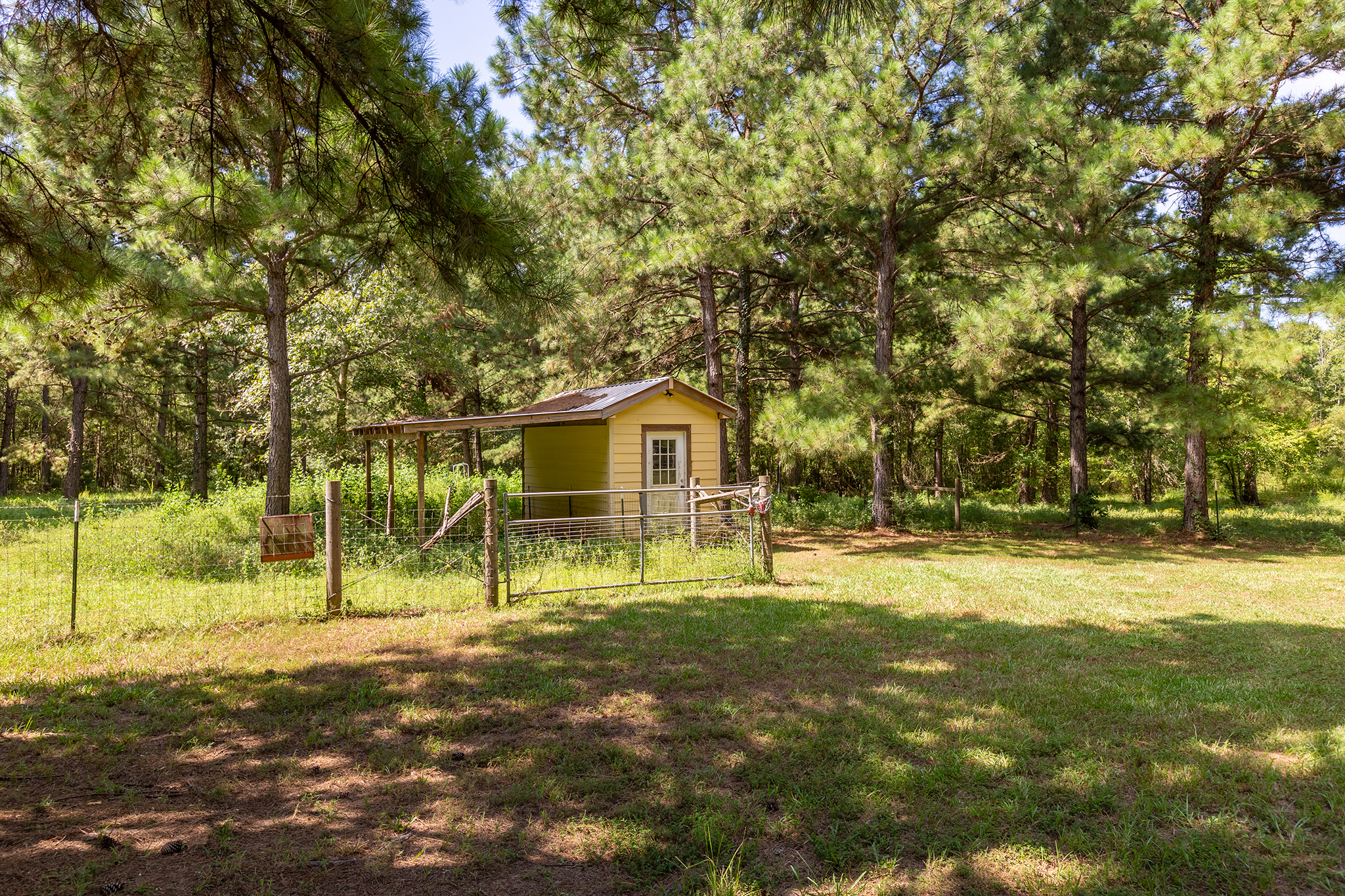 Bronson, Texas, 75930, United States, 5 Bedrooms Bedrooms, ,4 BathroomsBathrooms,Residential,For Sale,1944526