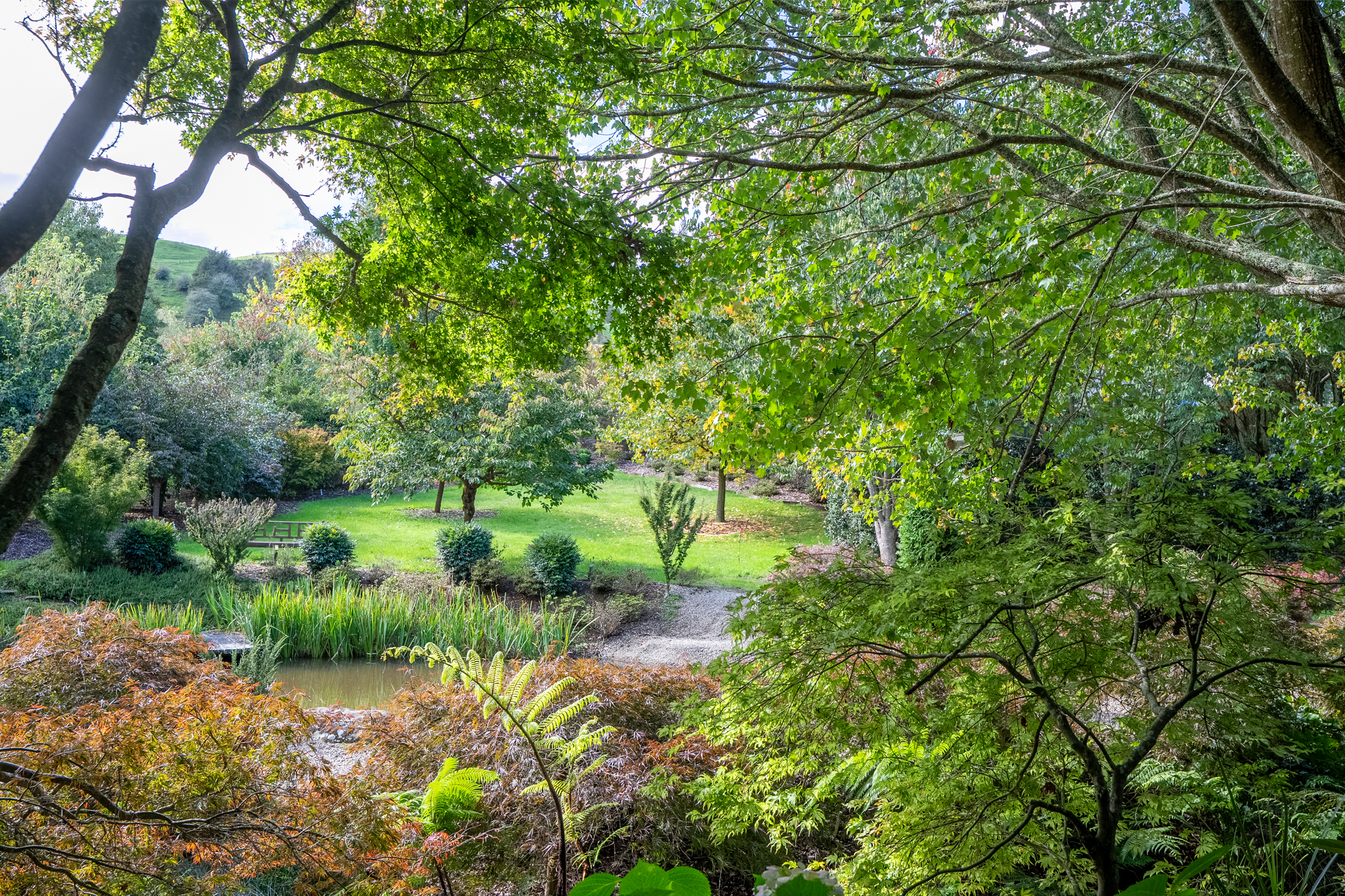  What Dreams are Made of and Memories are Made - 物件實景