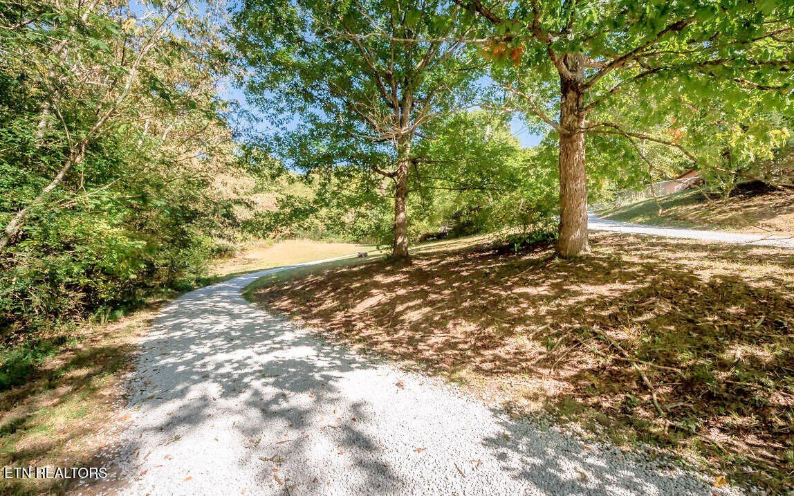 Pikeville, Tennessee, 37367, United States, ,Land,For Sale,2005286