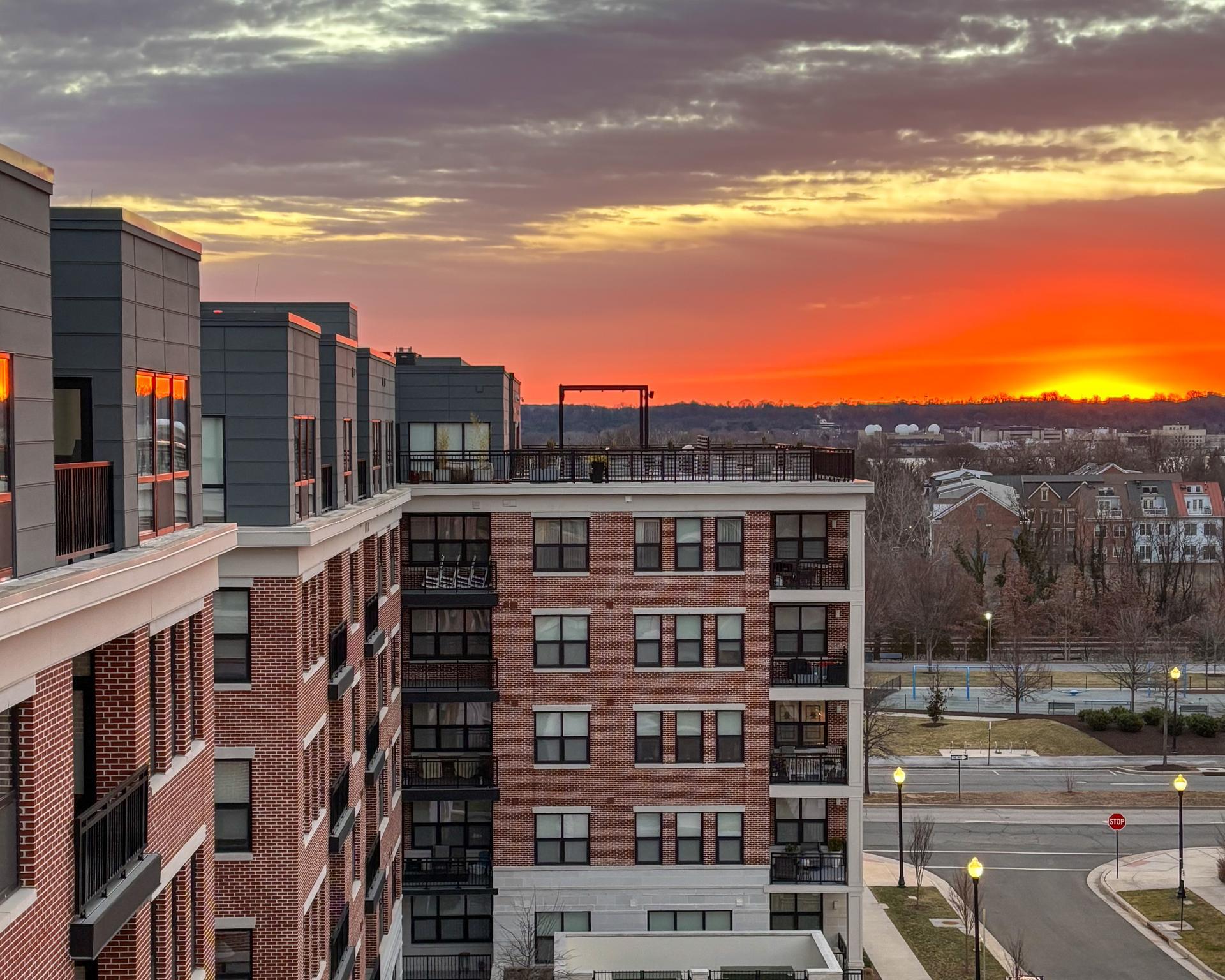  701 Swann Avenue, Alexandria, VA, 22301 - 物件實景