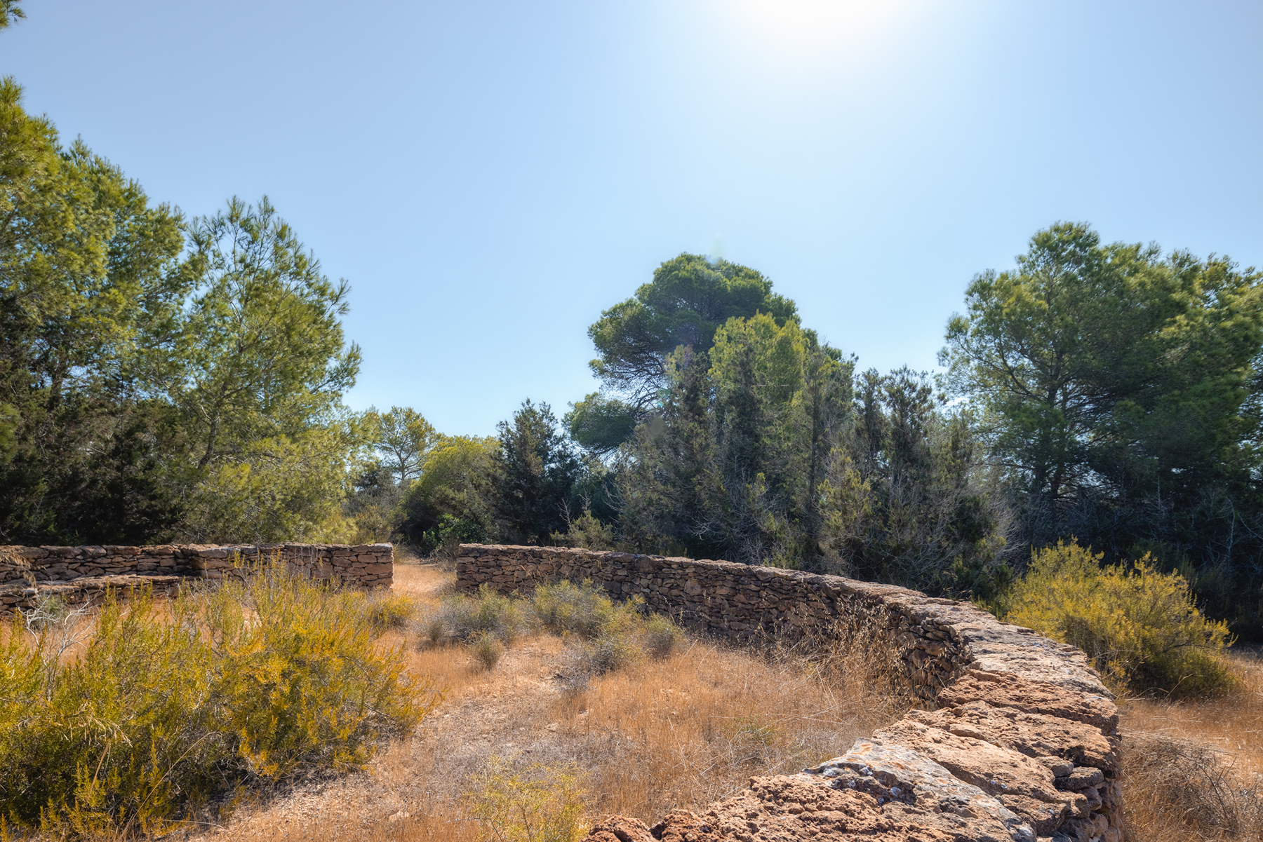  Country house to renovate in Formentera - 物件實景