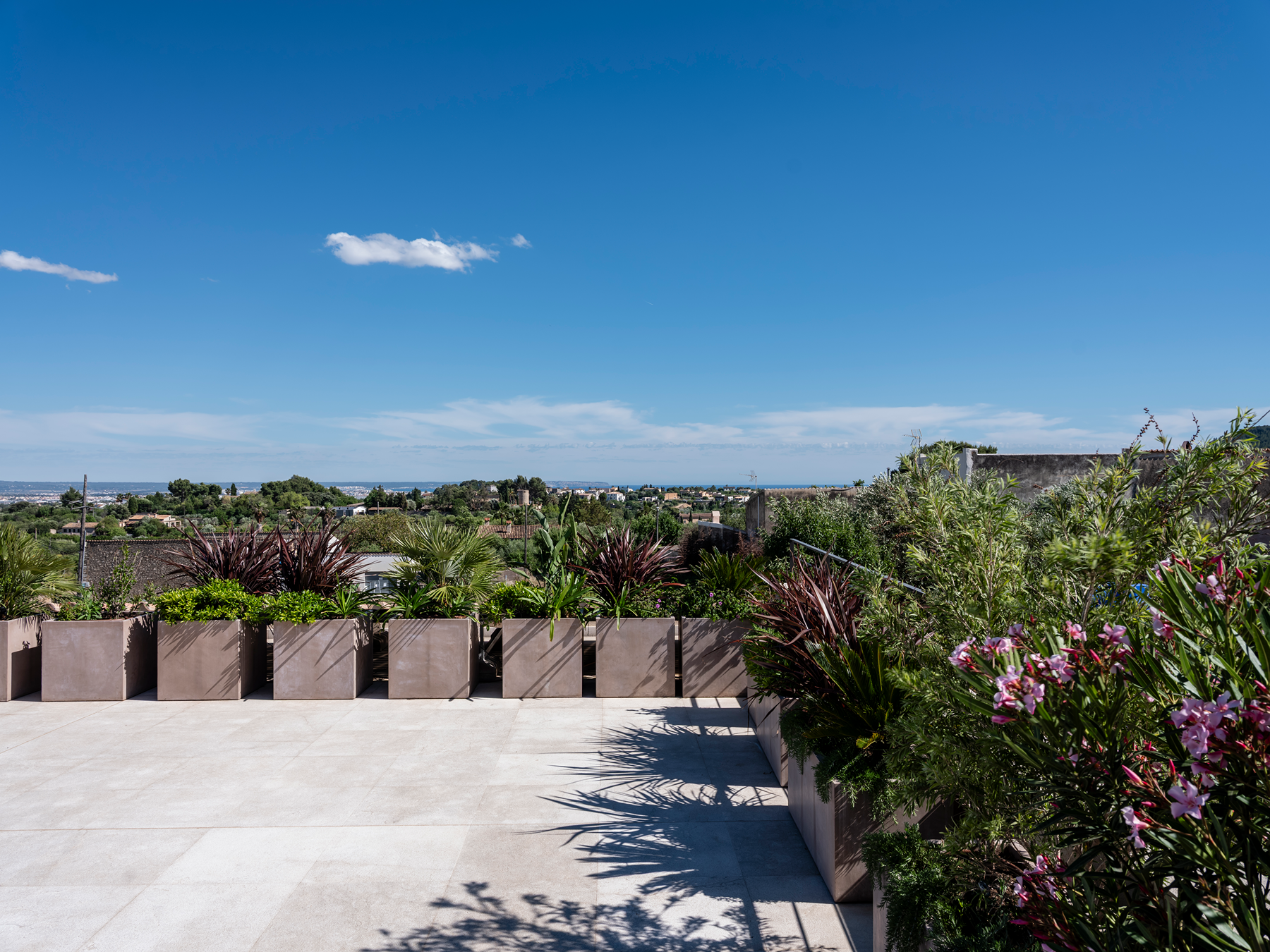  House with swimming pool and garden in Establiments - 物件實景