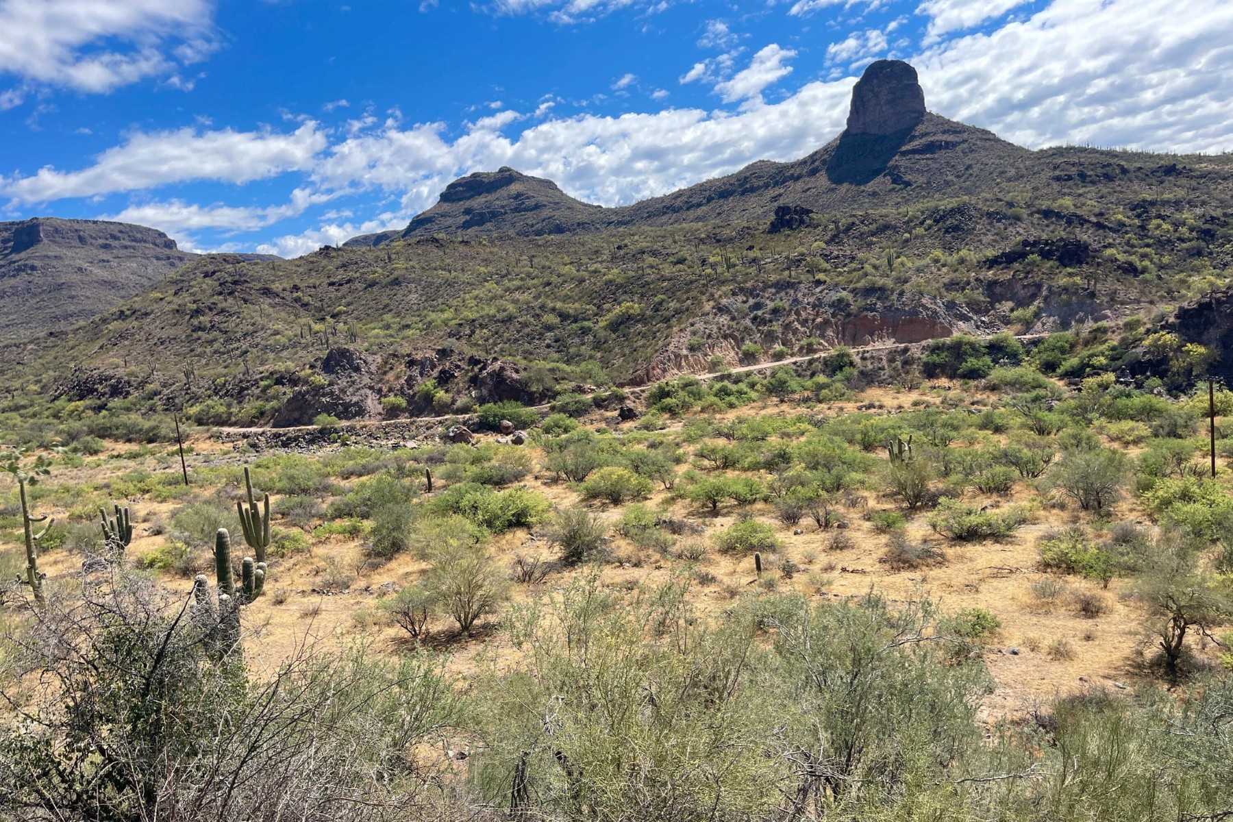  31900 S Tillys Trail¦Black Canyon City, AZ - 物件實景