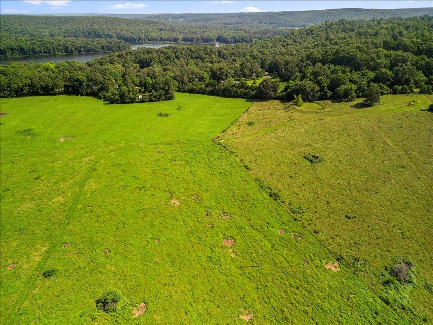 Udall, Missouri, 65766, United States, ,Land,For Sale,1984172