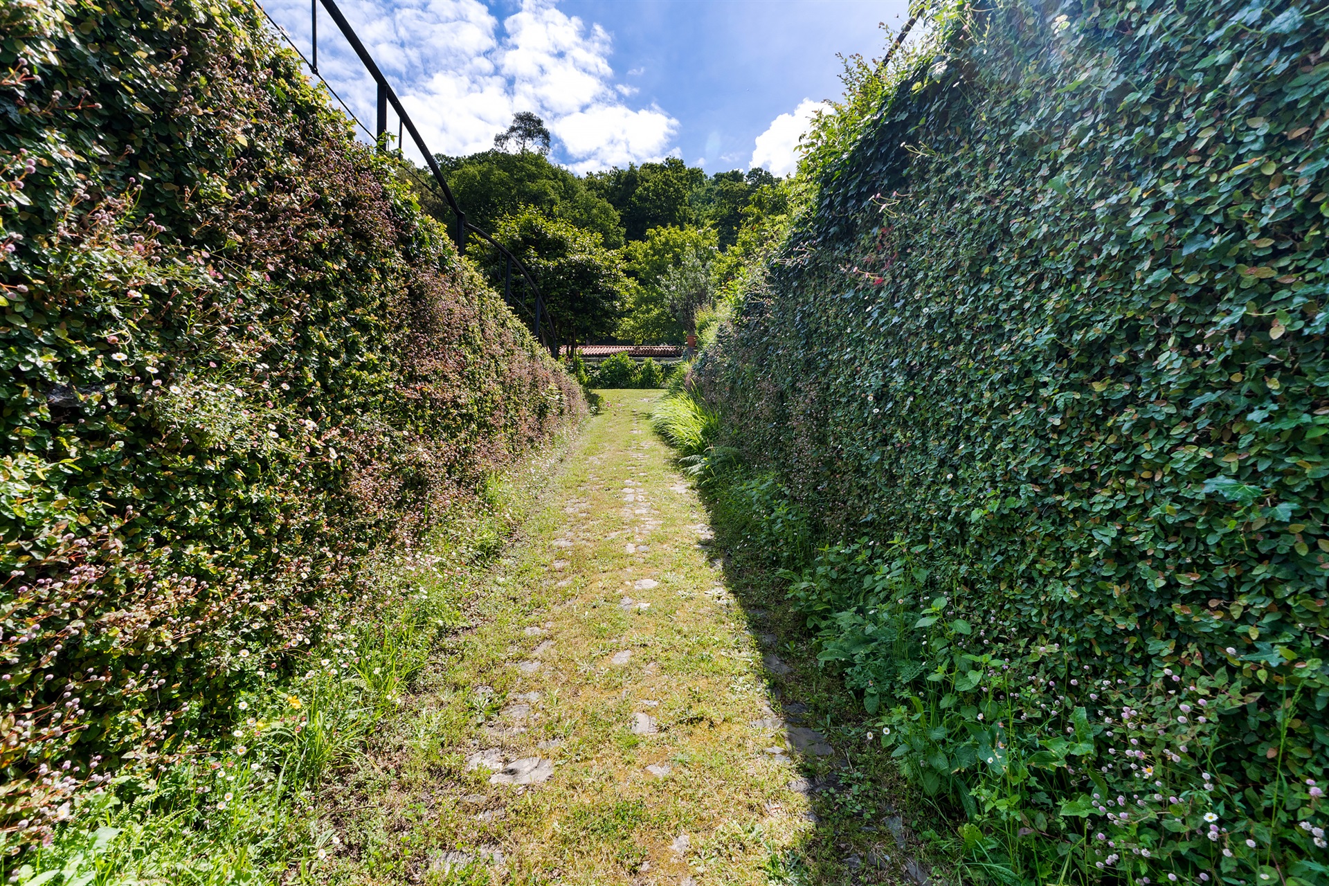  Farm, 10 bedrooms, for Sale - 物件實景