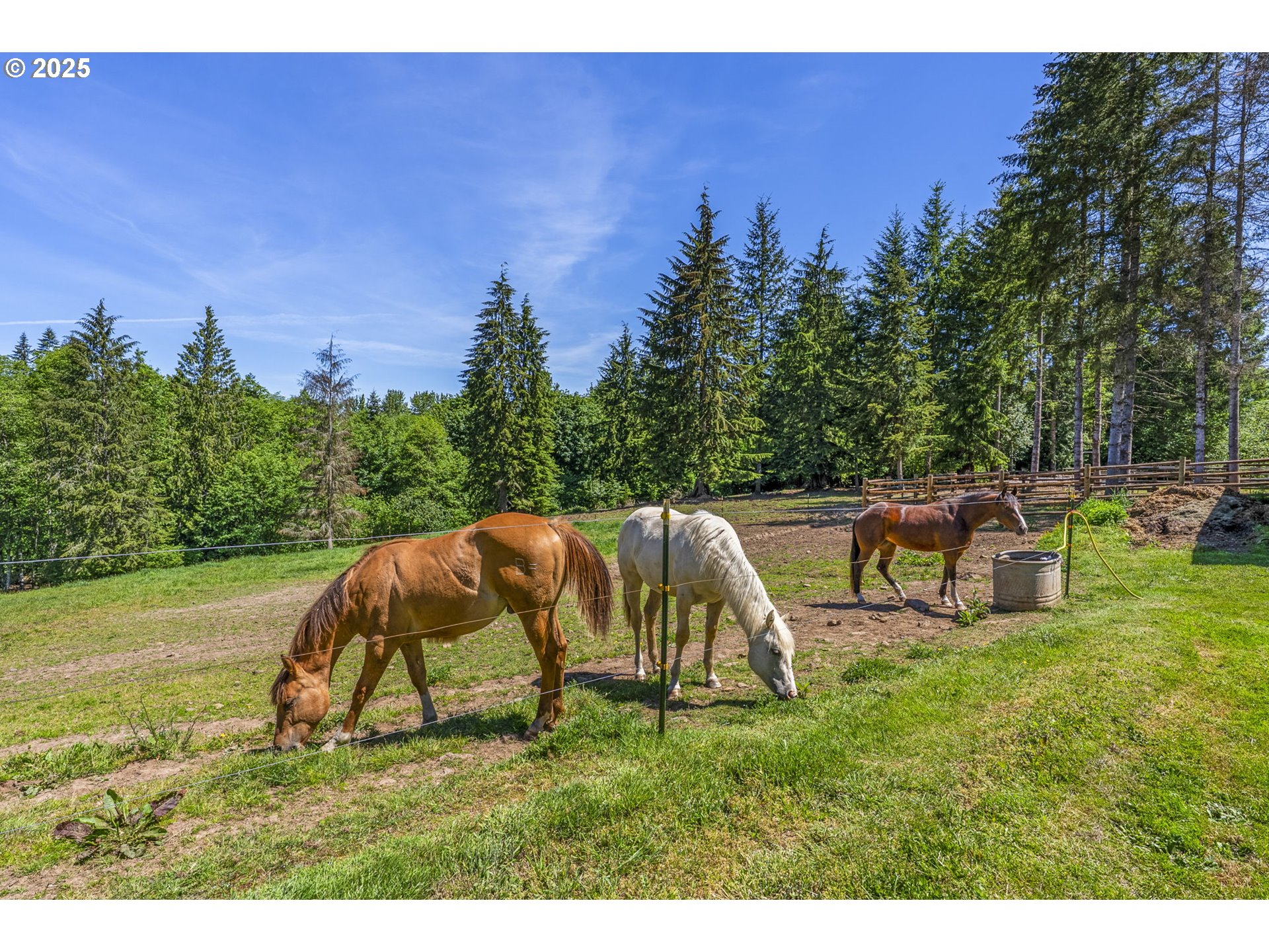 Castle Rock, Washington, 98611, United States, 3 Bedrooms Bedrooms, ,2 BathroomsBathrooms,Residential,For Sale,1848776