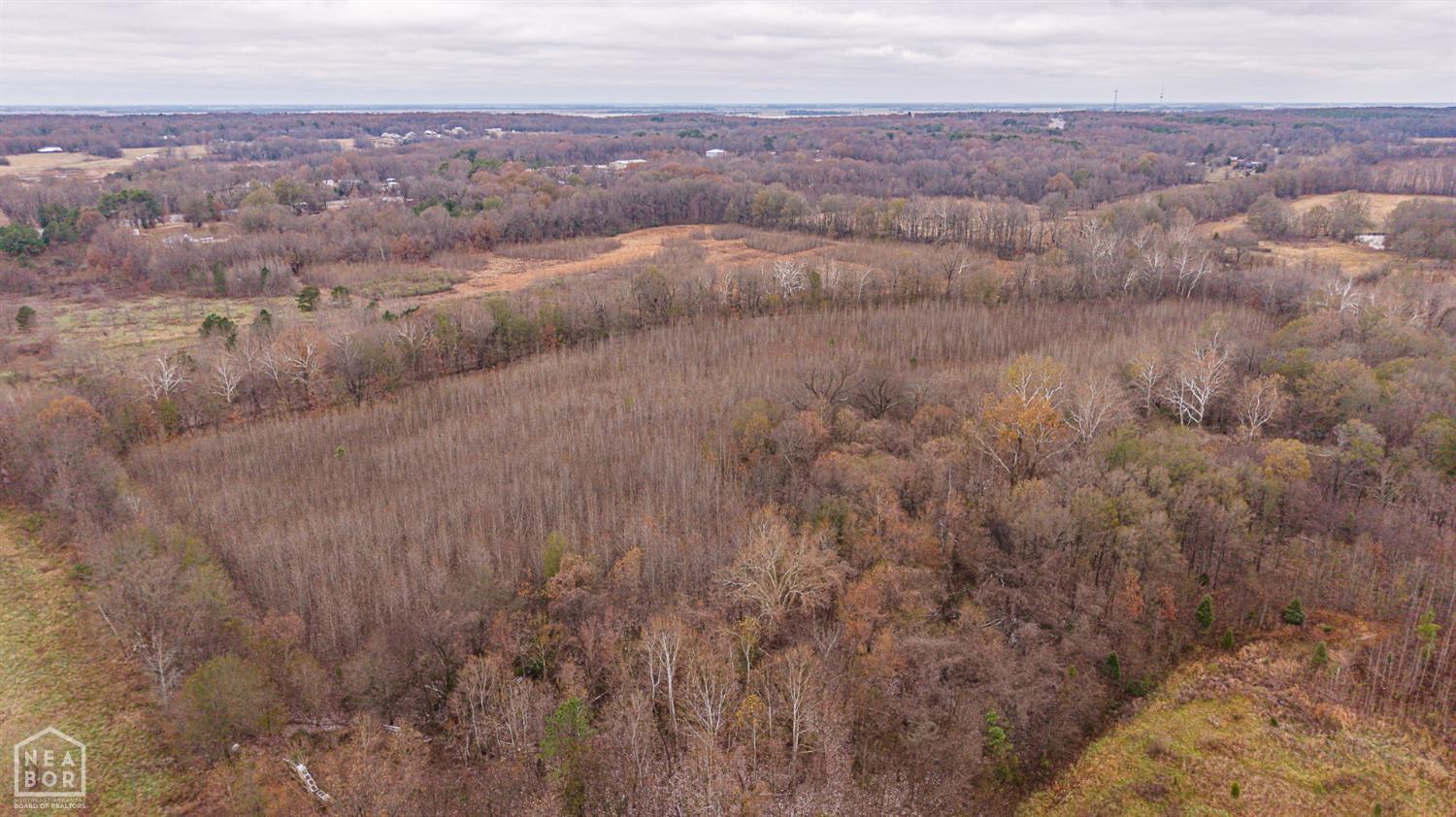 Bono, Arkansas, 72416, United States, ,Land,For Sale,2005103