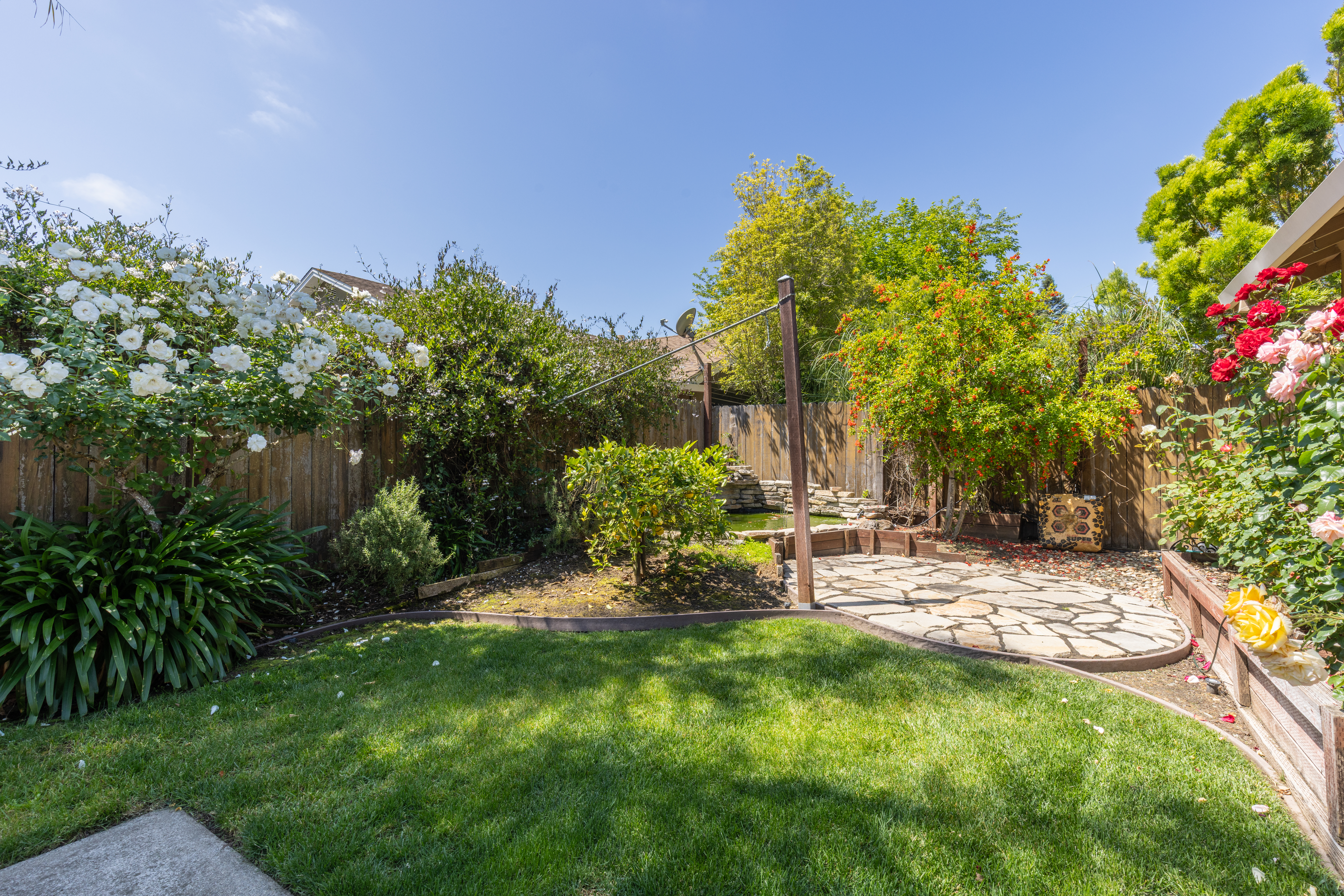  Thoughtfully Updated North Napa Home - 物件實景