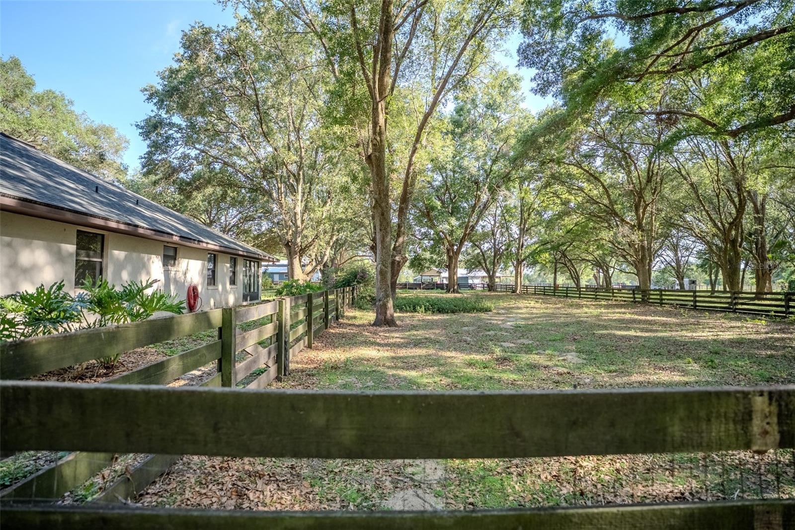 LADY LAKE, Florida, 32159, United States, 5 Bedrooms Bedrooms, ,3 BathroomsBathrooms,Residential,For Sale,1850305