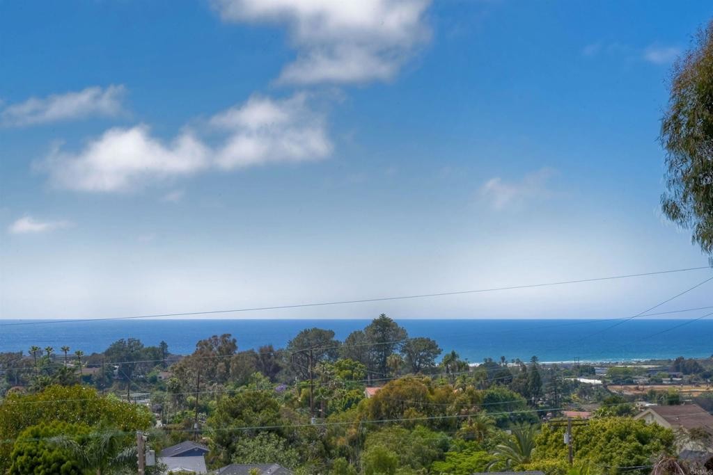 1669 Burgundy Rd., Encinitas, California, 92024, United States, 6 Bedrooms Bedrooms, ,5 BathroomsBathrooms,Residential,For Sale,1669 Burgundy Rd.,1537433