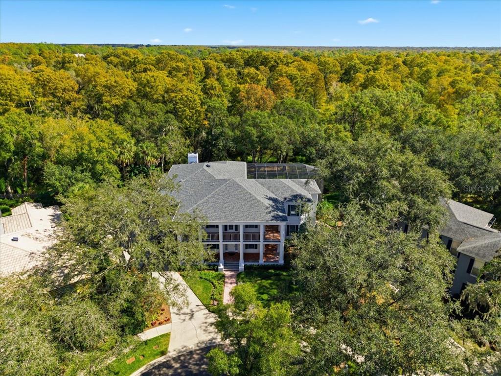 Tampa, Florida, 33647, United States, 4 Bedrooms Bedrooms, ,6 BathroomsBathrooms,Residential,For Sale,1989549