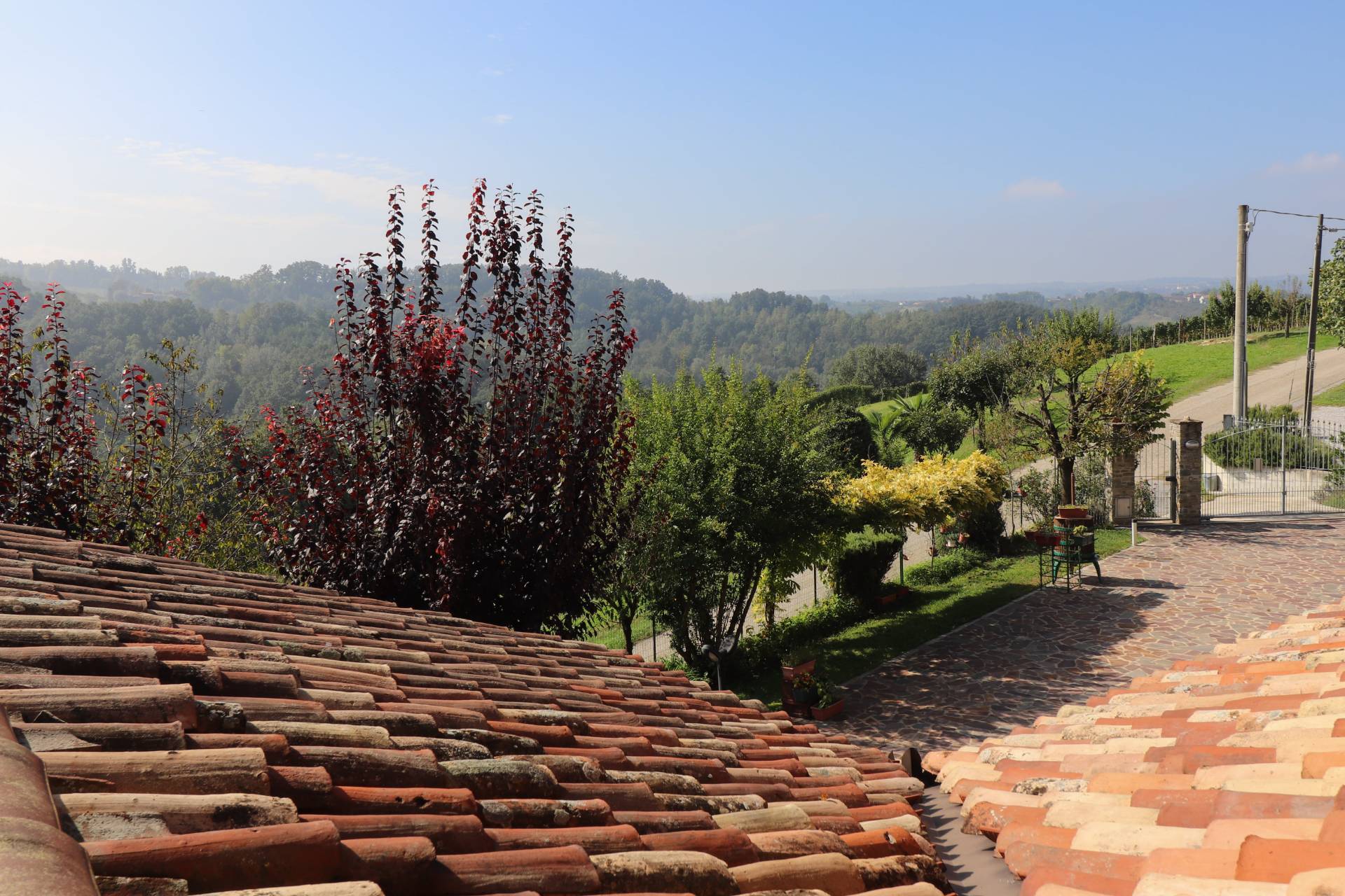Localit? riviera, Monforte d'Alba, Cuneo, 12065, IT, 3 Bedrooms Bedrooms, ,3 BathroomsBathrooms,Residential,For Sale,Localit? riviera,1639521