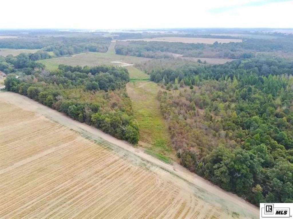 491 FORTENBERRY ROAD, Rayville, Louisiana, 71269, United States, ,Land,For Sale,491 FORTENBERRY ROAD,1683362