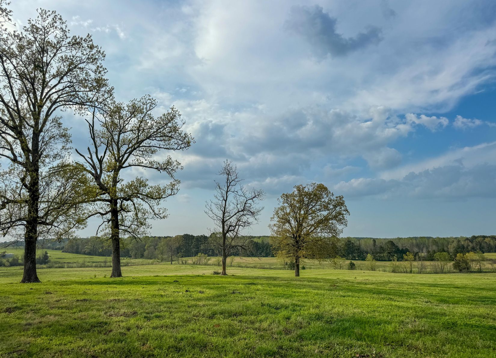 Bivins, Texas, 75555, United States, ,Residential,For Sale,1755933
