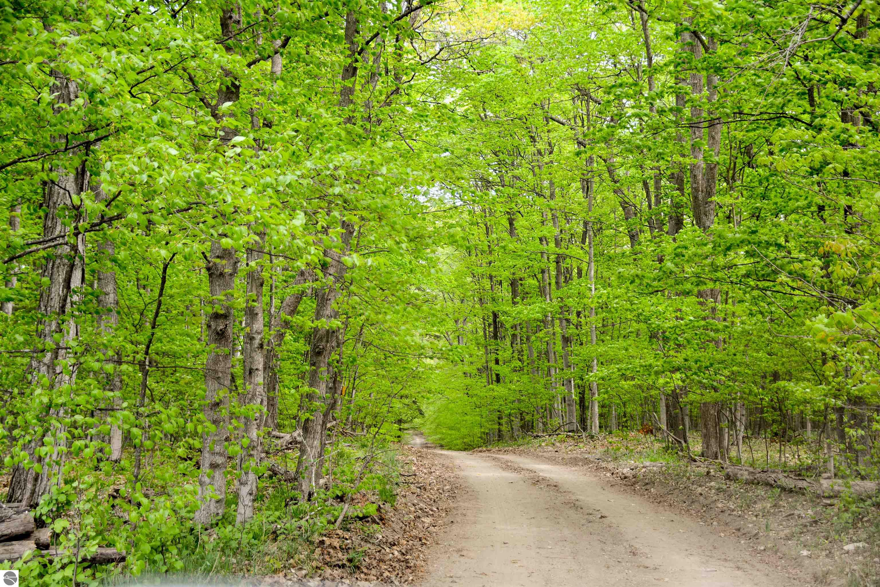 Traverse City, Michigan, 49686, United States, ,Land,For Sale,1817829