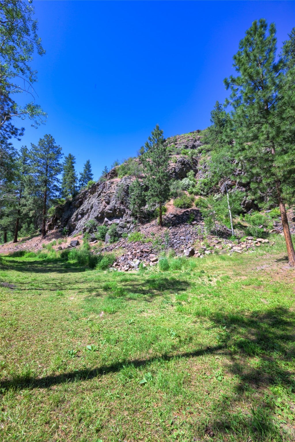8045 Mt Hwy 200, Plains, Montana, 59859, United States, 3 Bedrooms Bedrooms, ,1 BathroomBathrooms,Residential,For Sale,8045 Mt Hwy 200,1586647