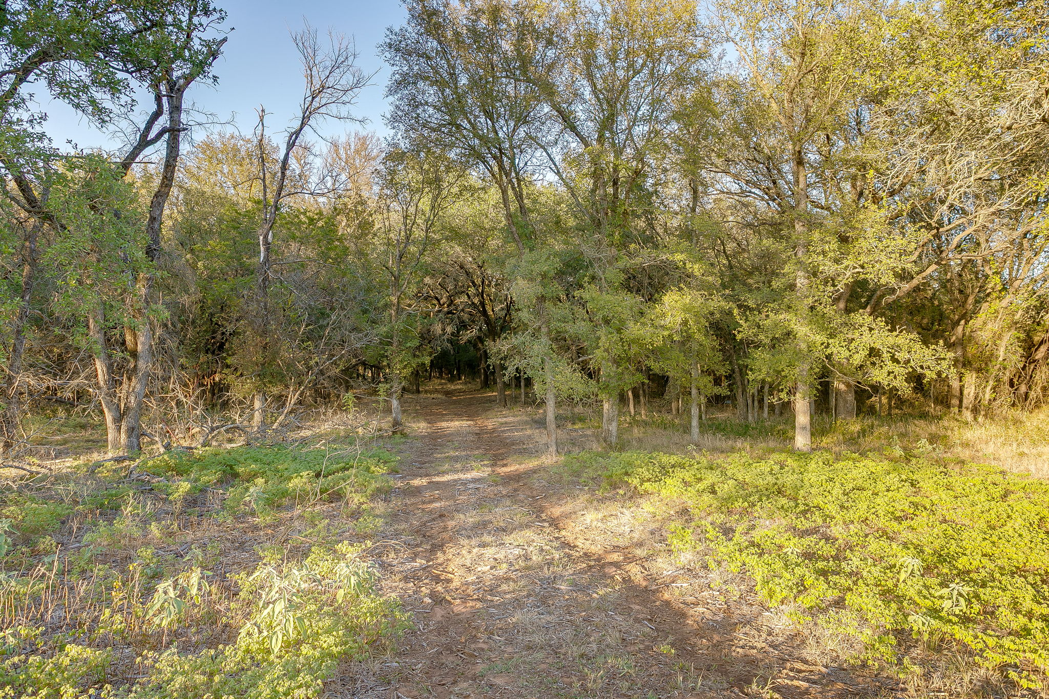  Lot 39 River Canyon, Mineral Wells, TX, 76484 - 物件實景