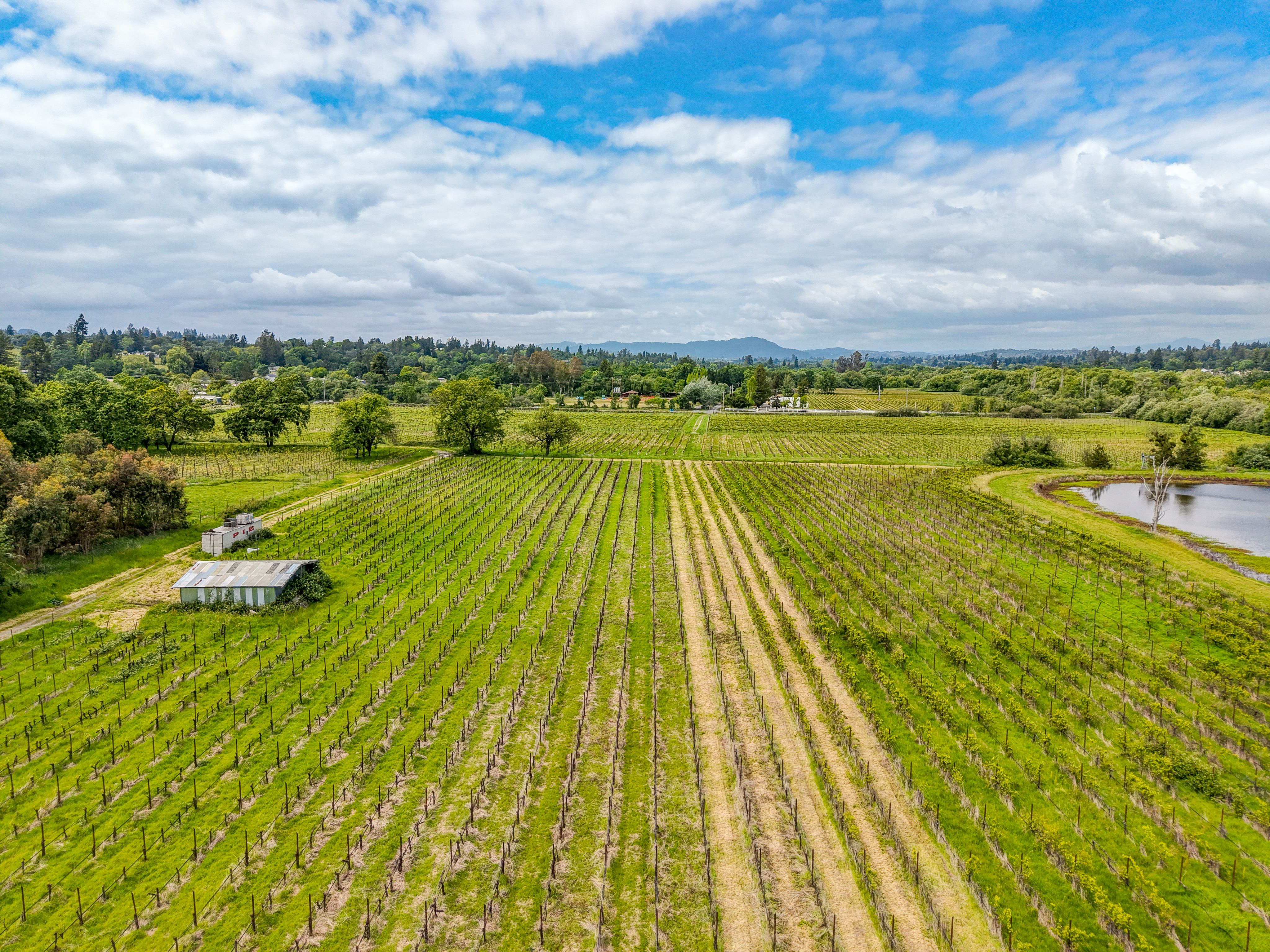  9700 Mill Station Road, Sebastopol, CA 95472 - 物件實景