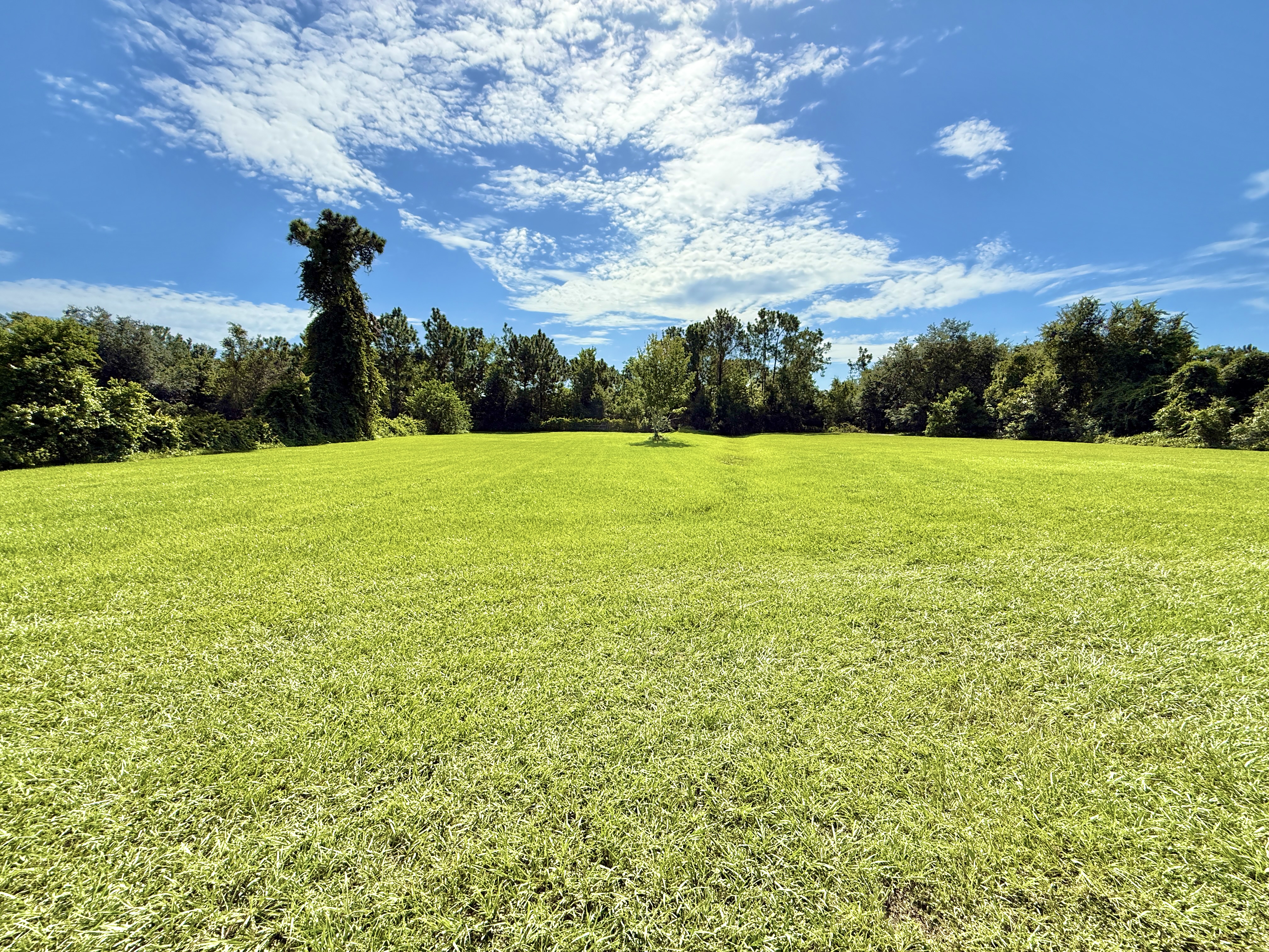 St Cloud, Florida, 34772, United States, 3 Bedrooms Bedrooms, ,2 BathroomsBathrooms,Residential,For Sale,1942635