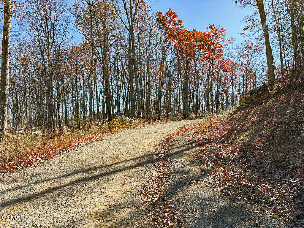 Sevierville, Tennessee, 37876, United States, ,Land,For Sale,2008093