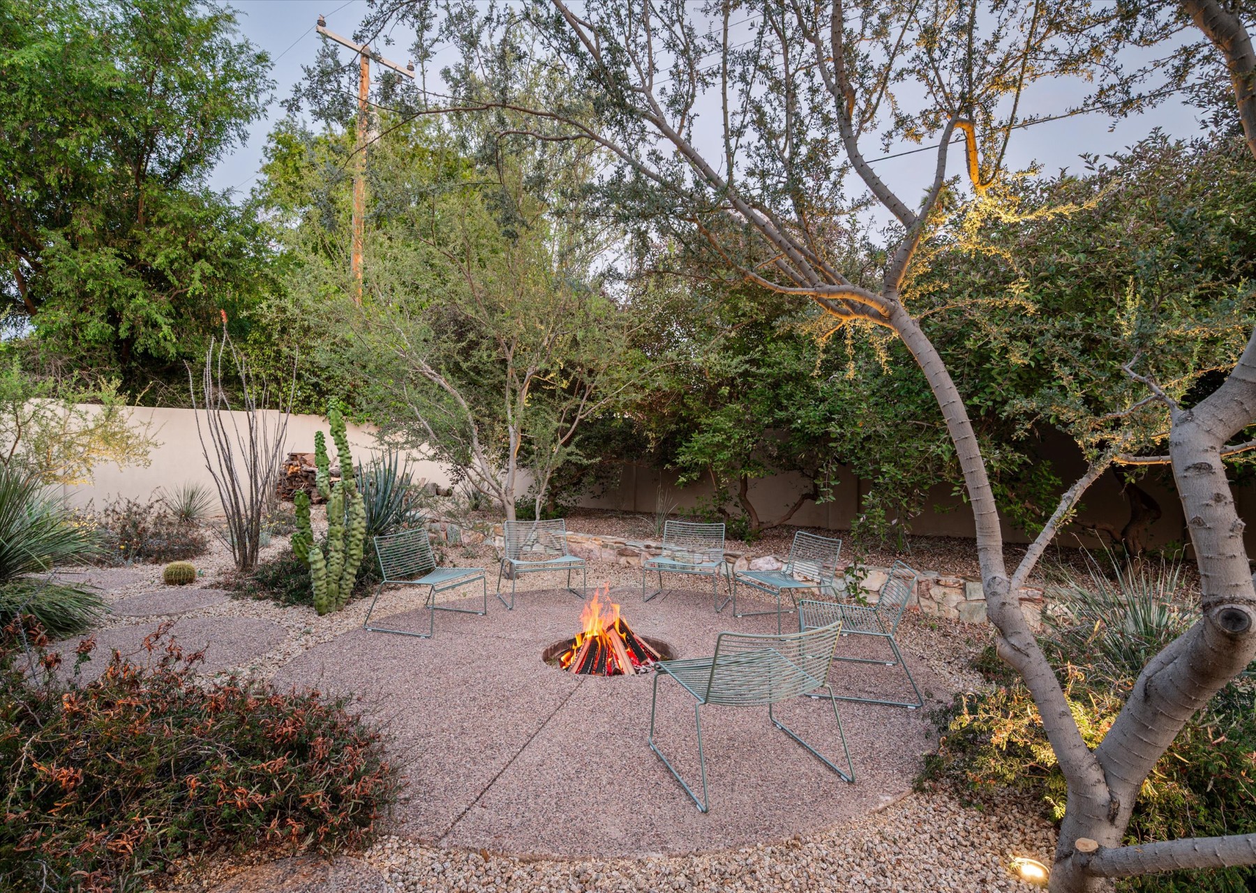  515 W Orangewood Avenue, Phoenix, AZ 85021 - 物件實景