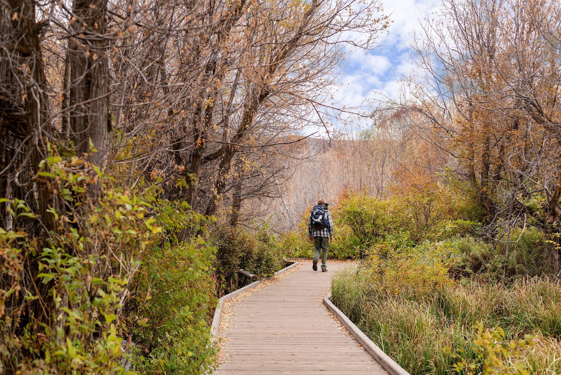  Mount Timpanogos Views. One Acre. No HOA. No Build Timeline. - 物件實景