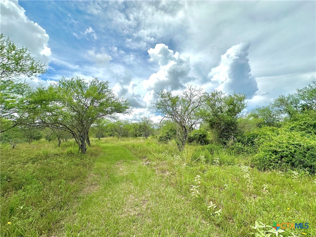 Nursery, Texas, 77976, United States, ,Land,For Sale,1885536