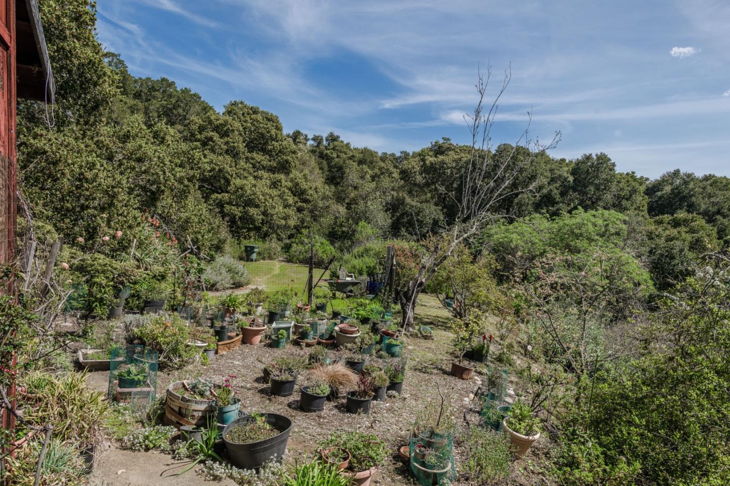 Portola Valley, California, 94028, United States, ,Land,For Sale,1752265