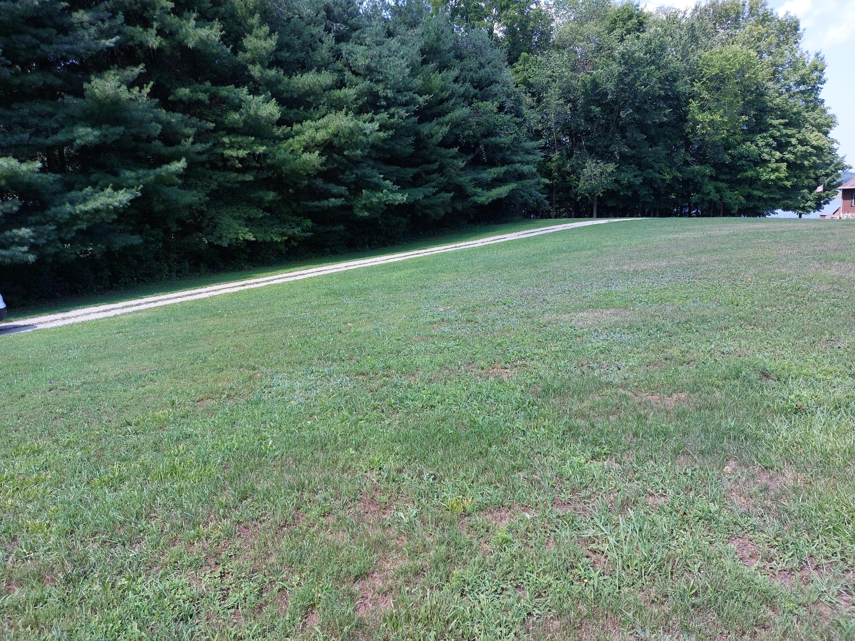 Dowagiac, Michigan, 49047, United States, 3 Bedrooms Bedrooms, ,2 BathroomsBathrooms,Residential,For Sale,1909140