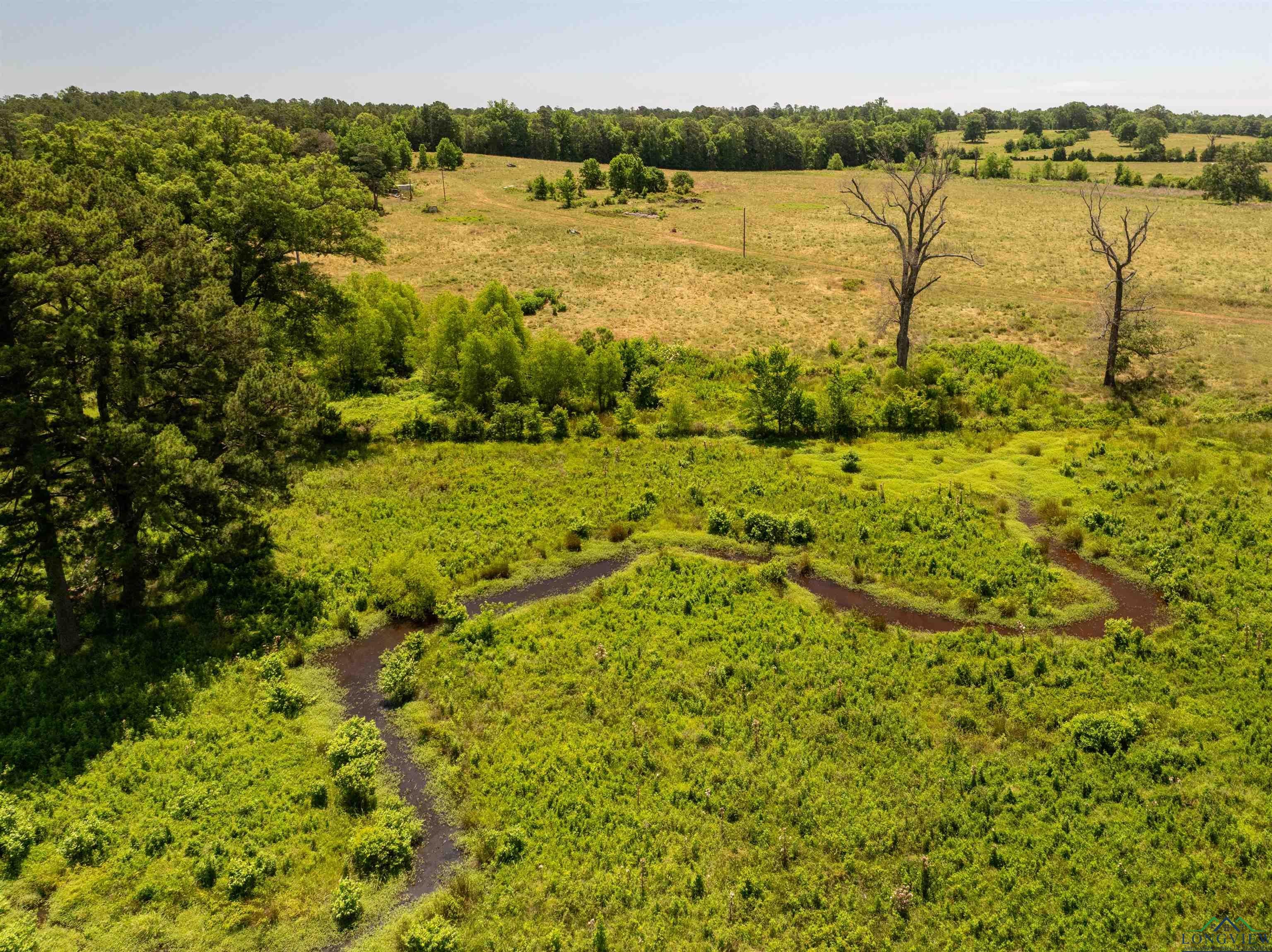 7557 FM 248, Lodi, Texas, 75564, United States, ,Residential,For Sale,7557 FM 248,1614560