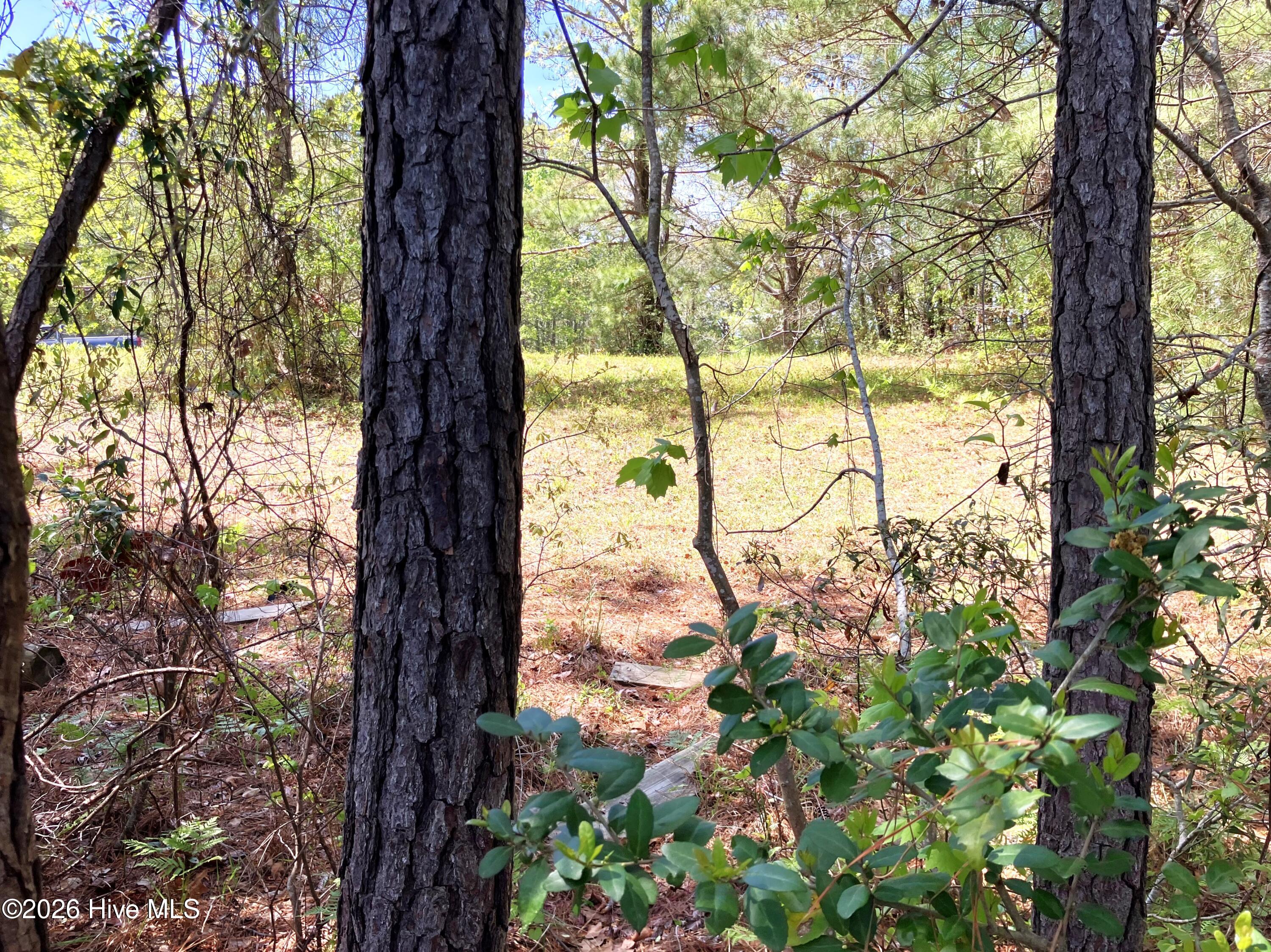 Havelock, North Carolina, 28532, United States, ,Land,For Sale,2035348