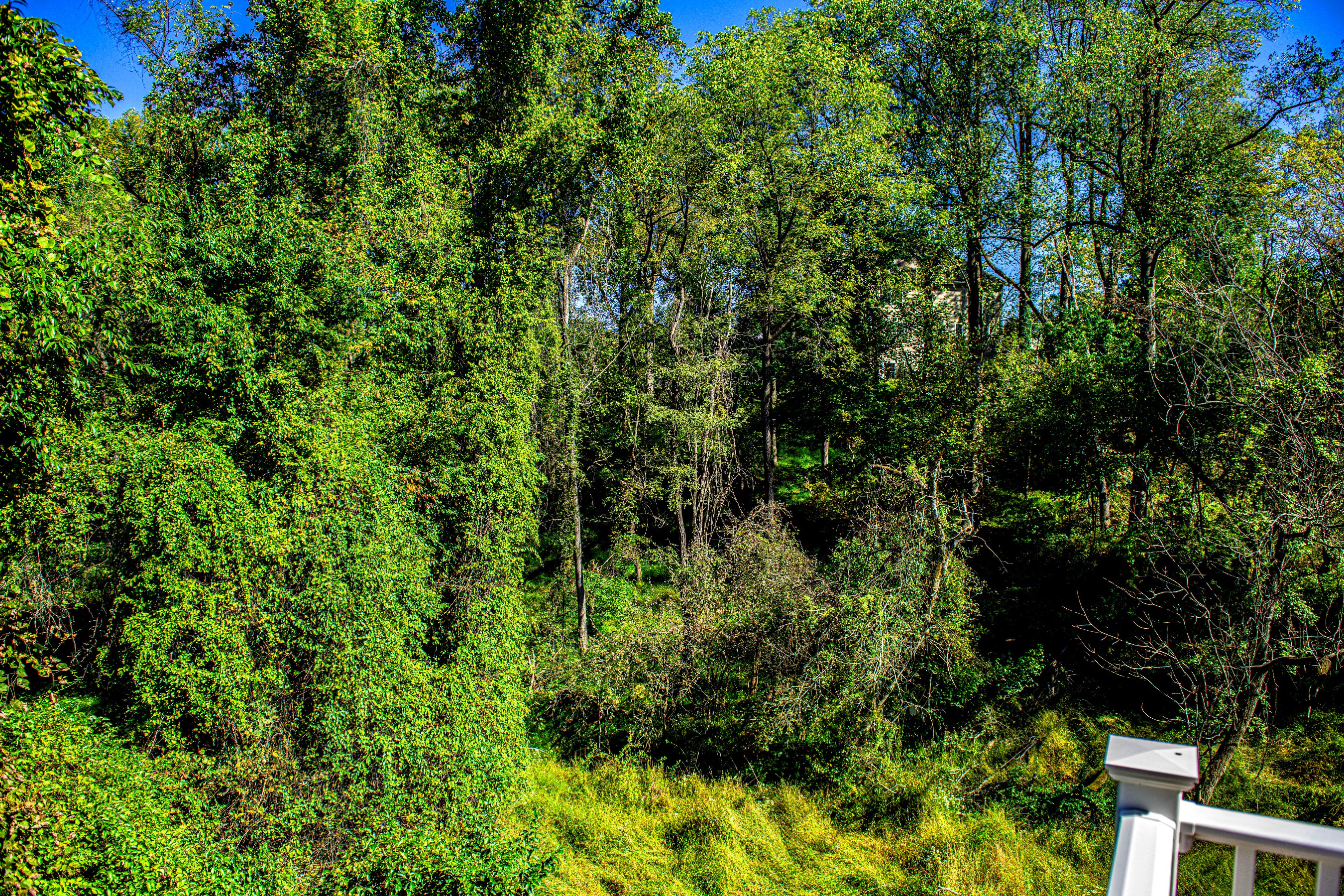  Woods of Tiber Branch II - 物件實景