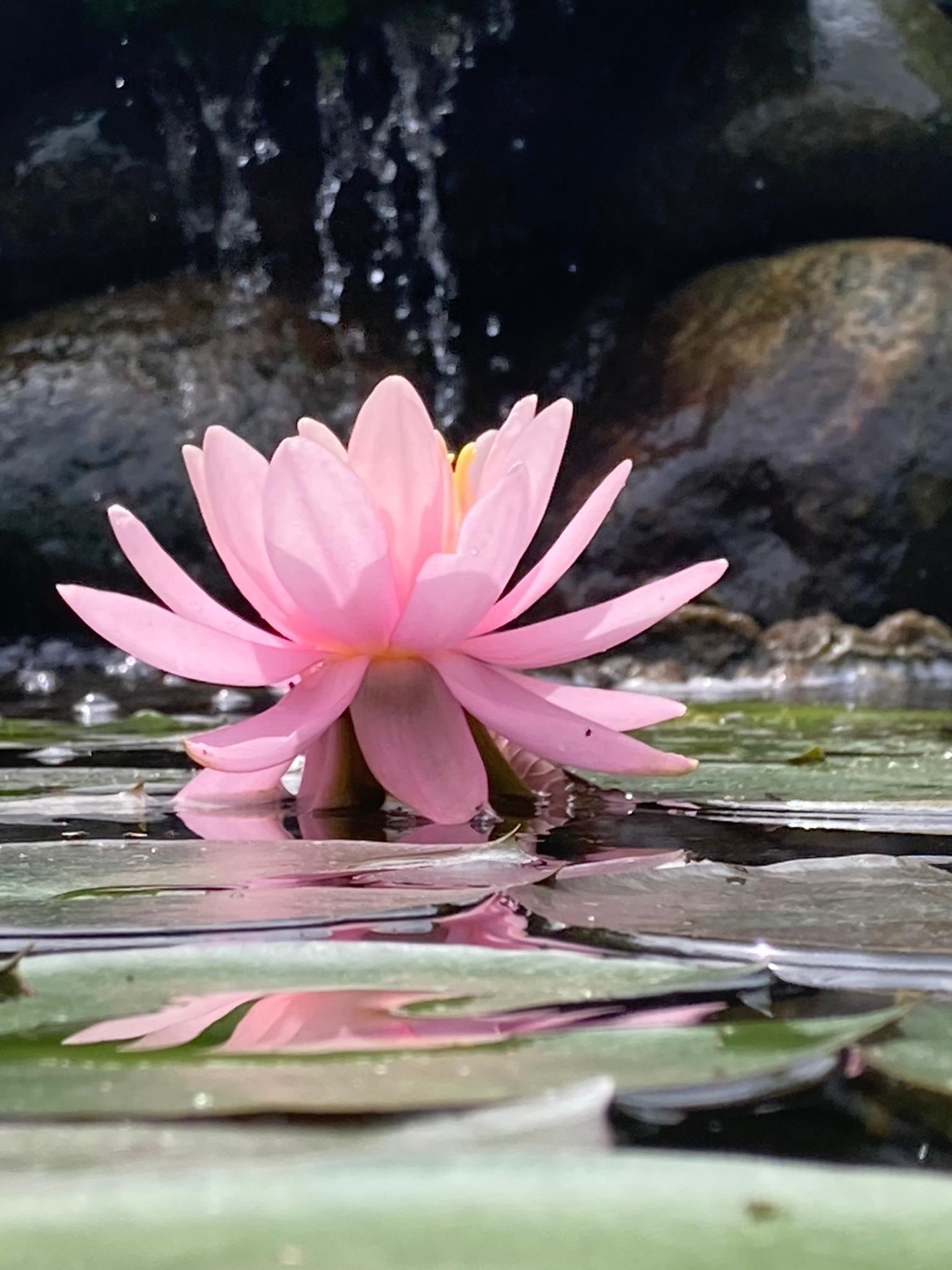 Winona, Minnesota, 55987, United States, 5 Bedrooms Bedrooms, ,2 BathroomsBathrooms,Residential,For Sale,2005788