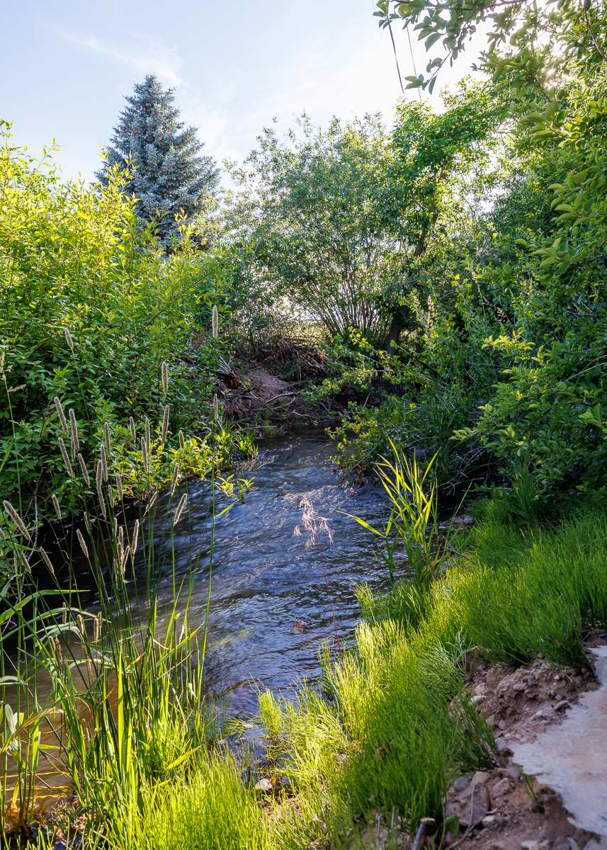 Vernal, Utah, 84078, United States, 3 Bedrooms Bedrooms, ,3 BathroomsBathrooms,Residential,For Sale,2014063