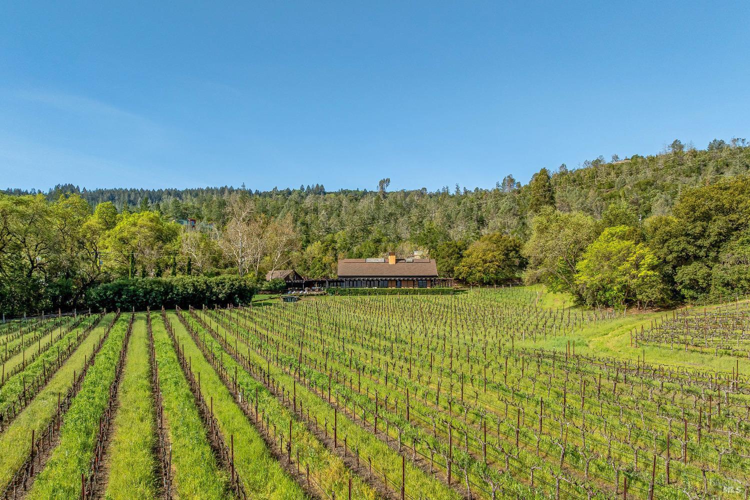St. Helena, California, 94574, United States, 5 Bedrooms Bedrooms, ,8 BathroomsBathrooms,Residential,For Sale,1761730
