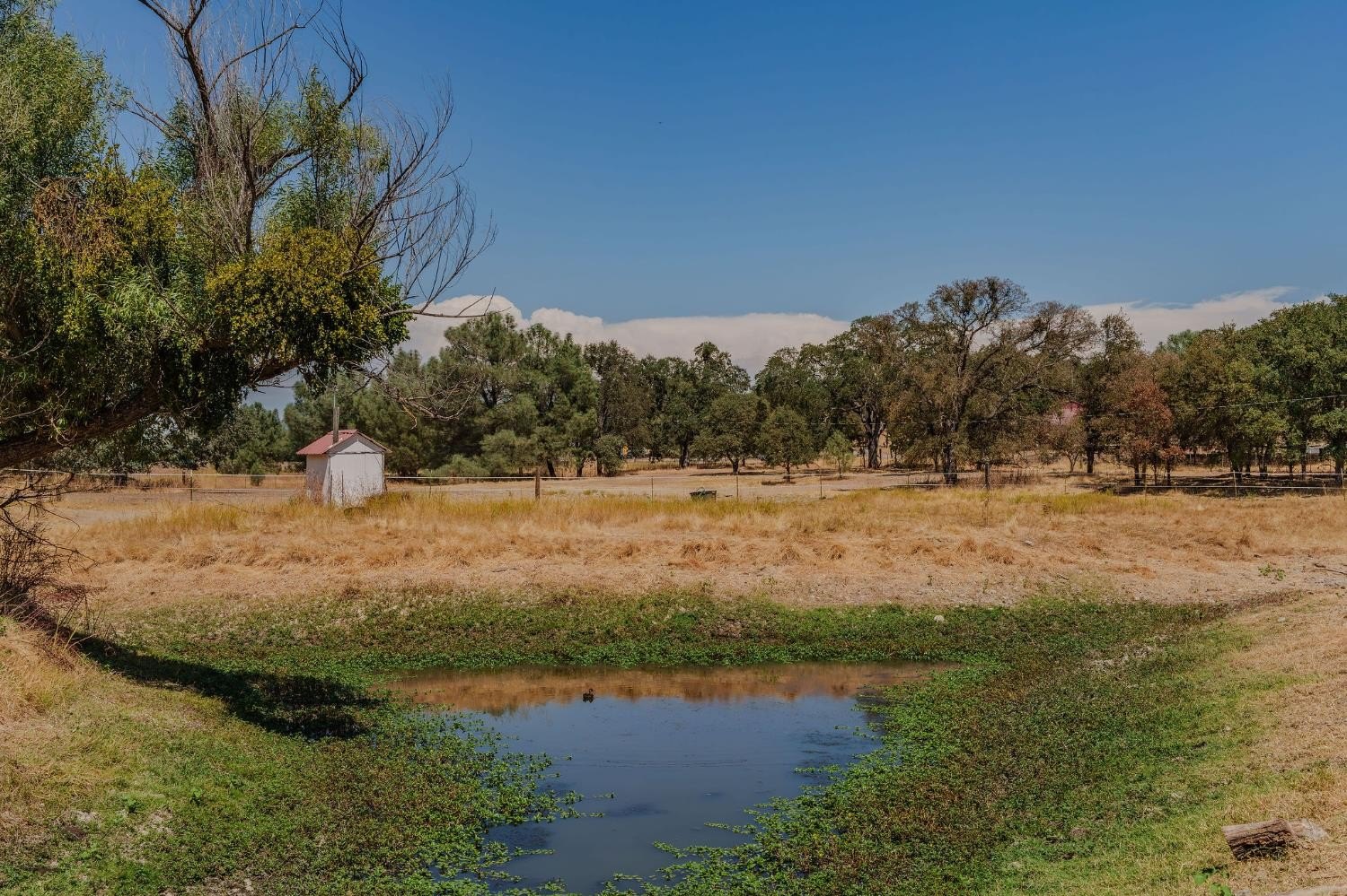 Valley Springs, California, 95252, United States, 3 Bedrooms Bedrooms, ,2 BathroomsBathrooms,Residential,For Sale,1979453