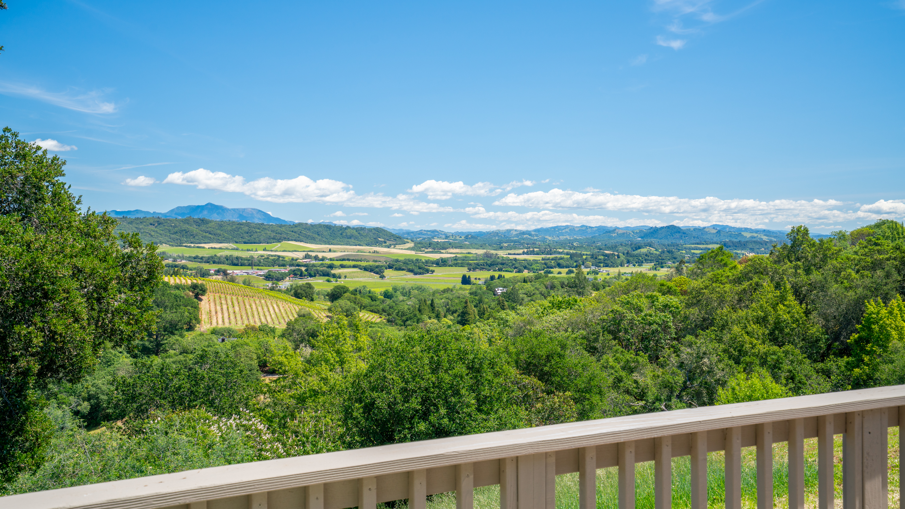  Quietly Exceptional Dry Creek Valley Estate - 物件實景