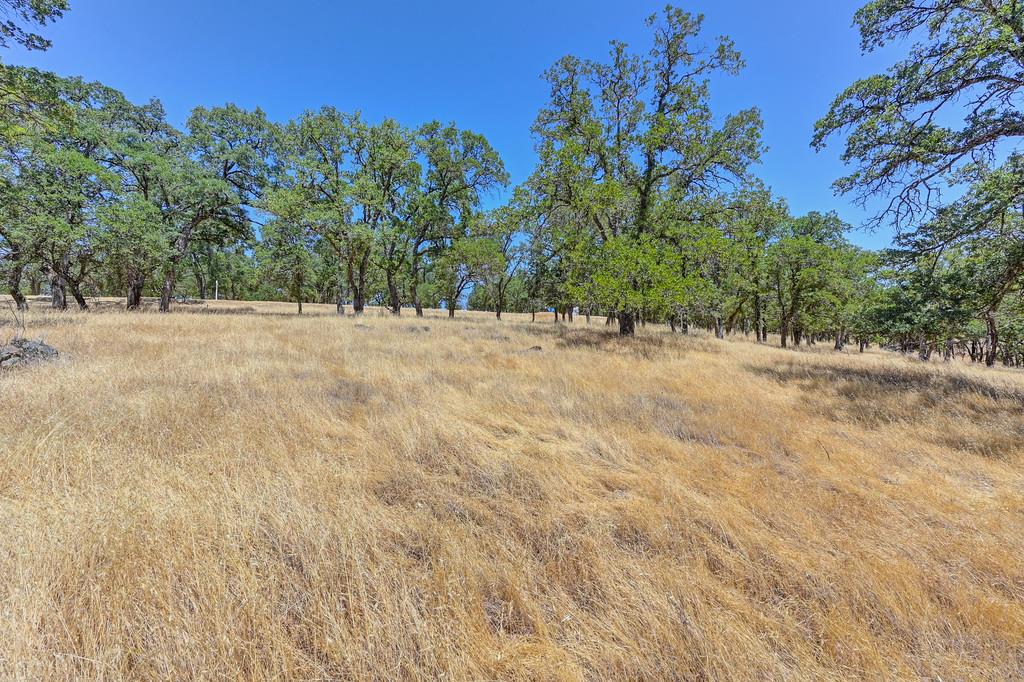 El Dorado Hills, California, 95762, United States, ,Land,For Sale,1874458