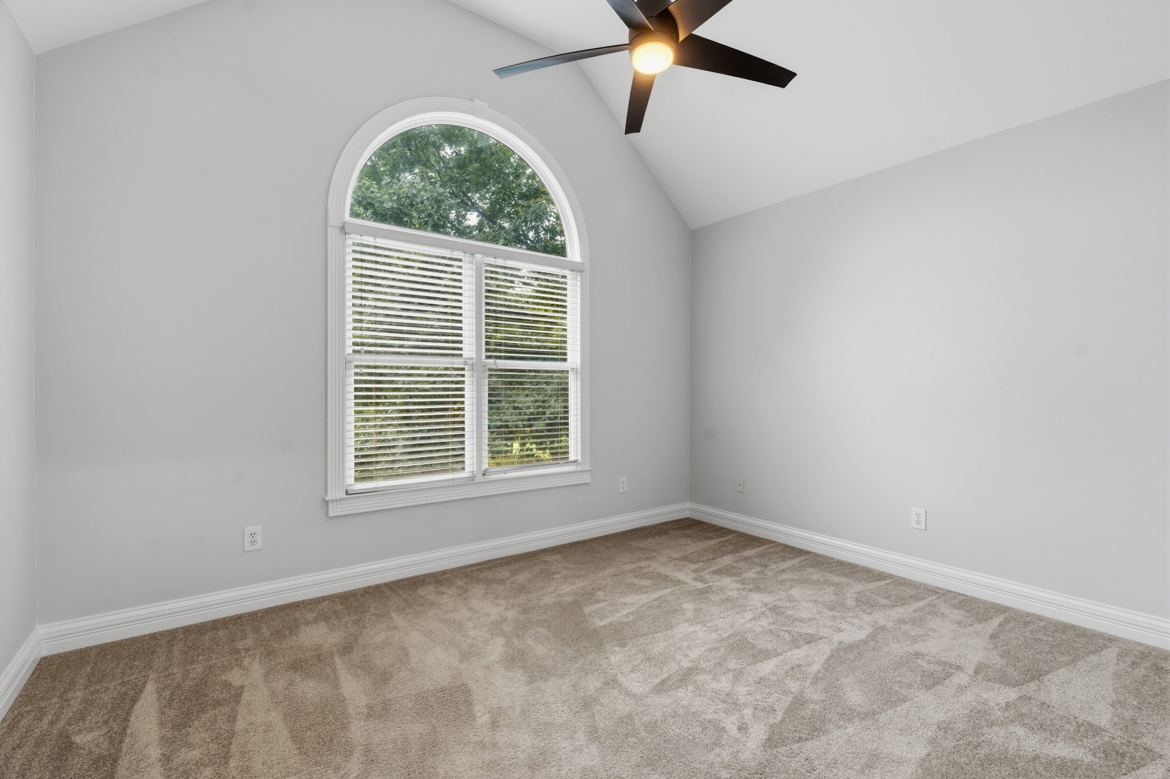  156 North Berwick Lane, Franklin, TN 37069 - 物件實景