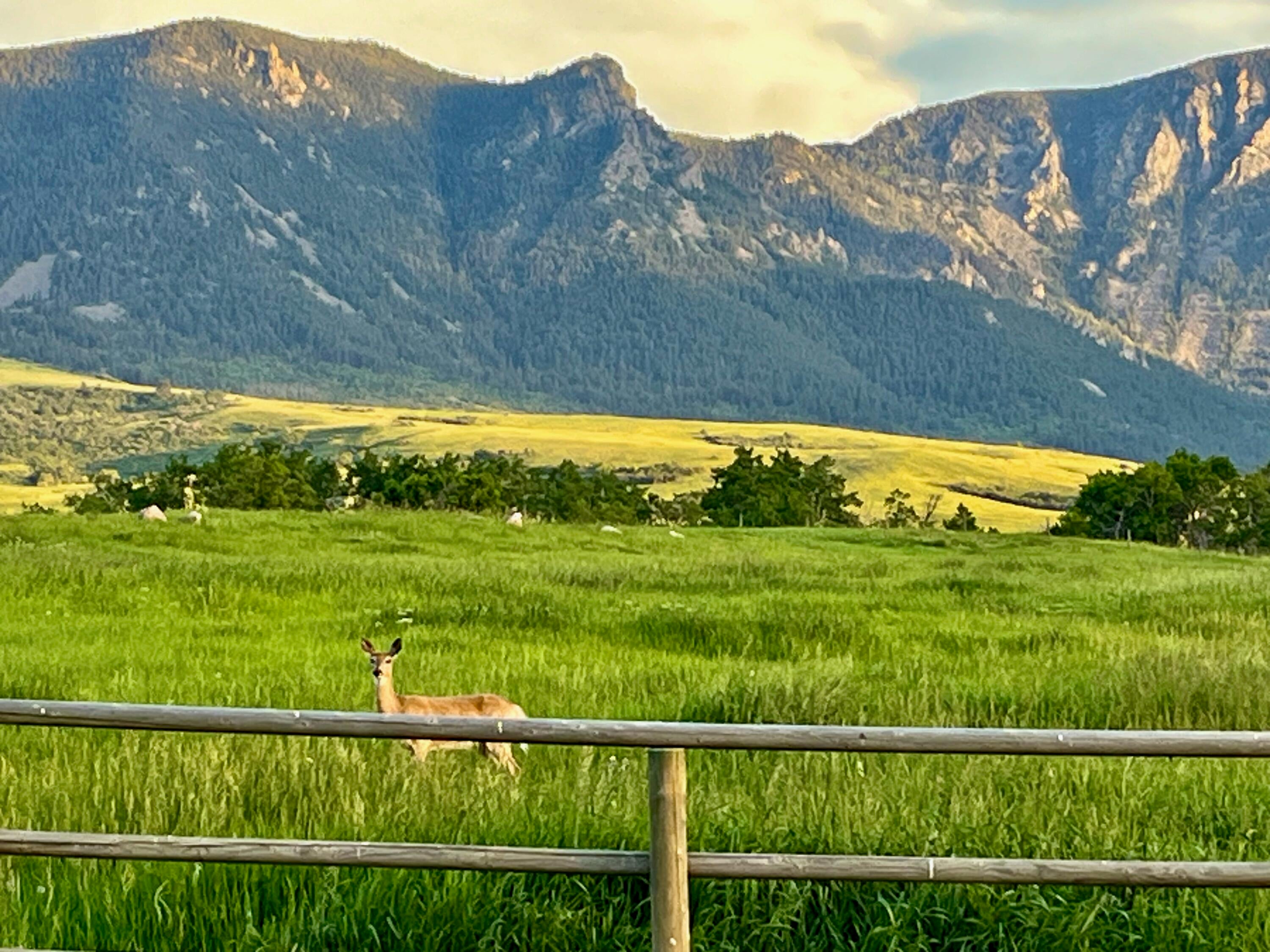 Big Horn, Wyoming, 82833, United States, 3 Bedrooms Bedrooms, ,4 BathroomsBathrooms,Residential,For Sale,2011301