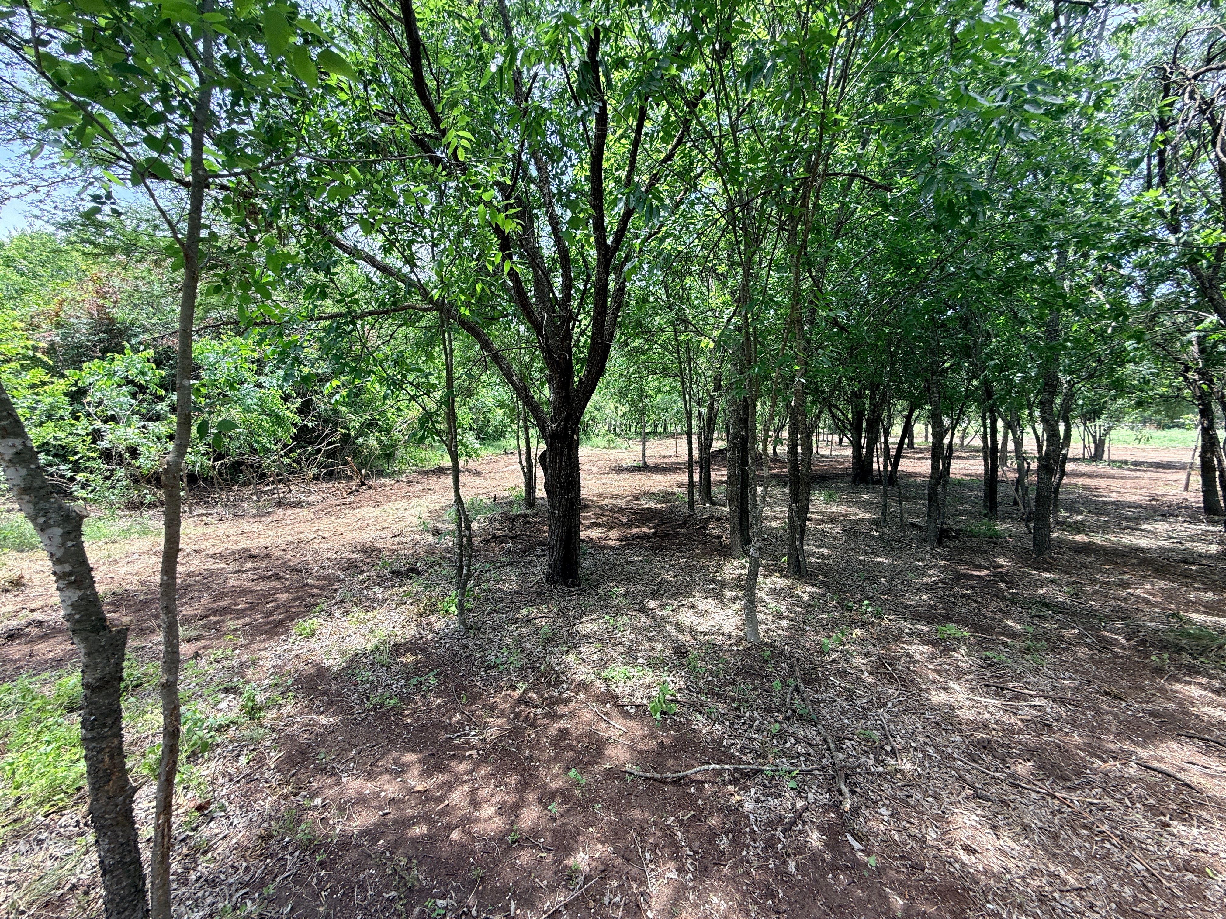  Secluded 1-acre Lot - 物件實景