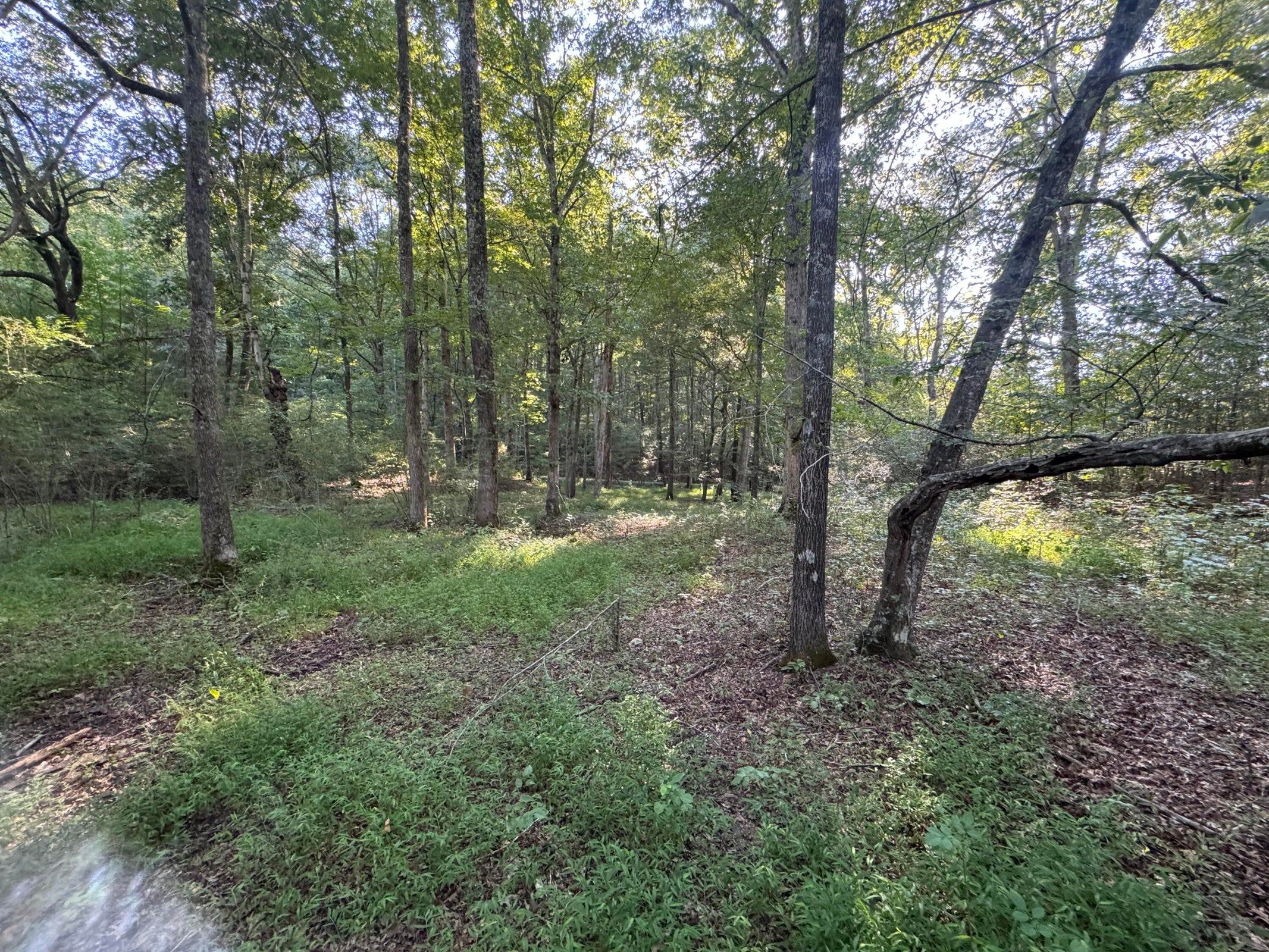 Dunlap, Tennessee, 37327, United States, 3 Bedrooms Bedrooms, ,1 BathroomBathrooms,Residential,For Sale,1980743